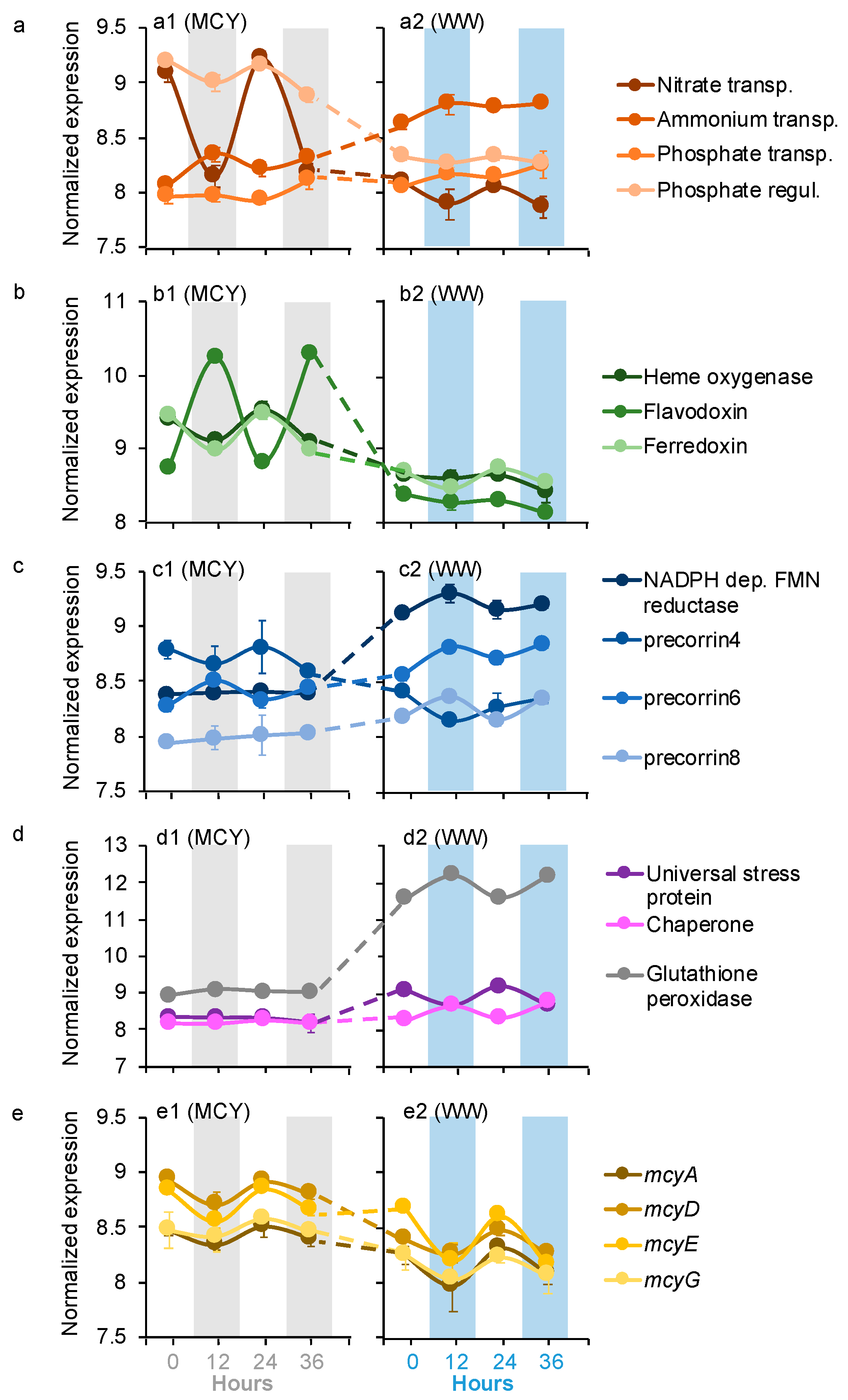 Microorganisms 09 01670 g002 Microorganisms 09 01670 g002