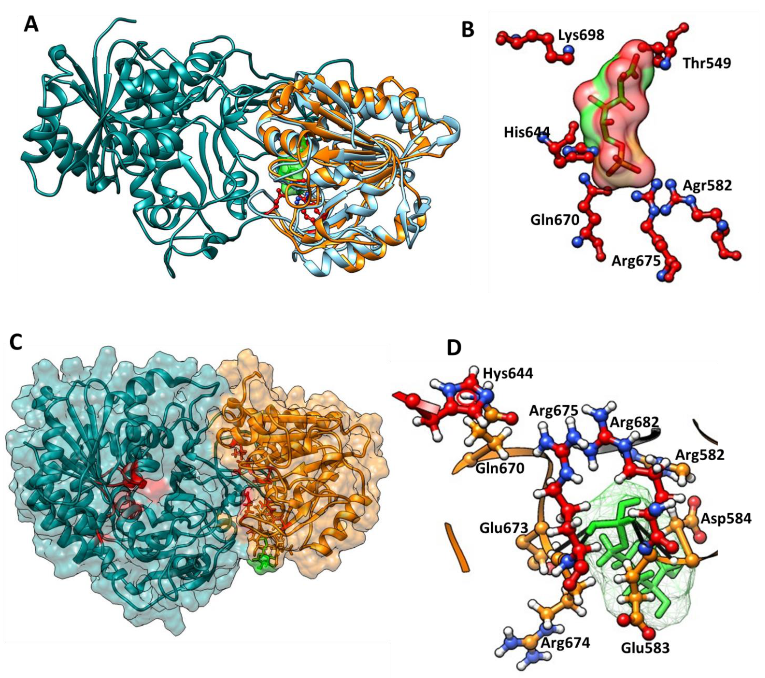 Microorganisms 09 01678 g007