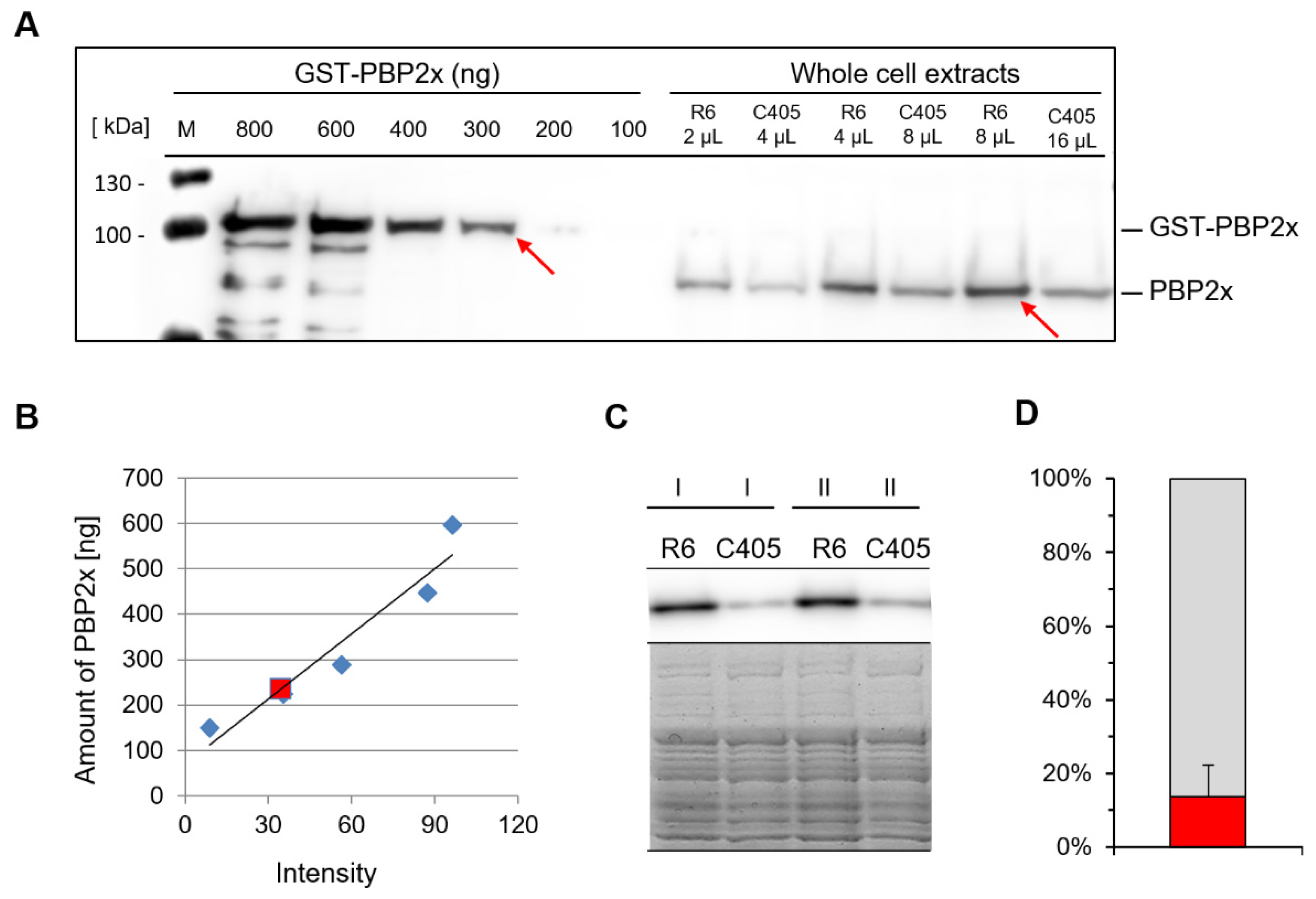 Microorganisms 09 01685 g002