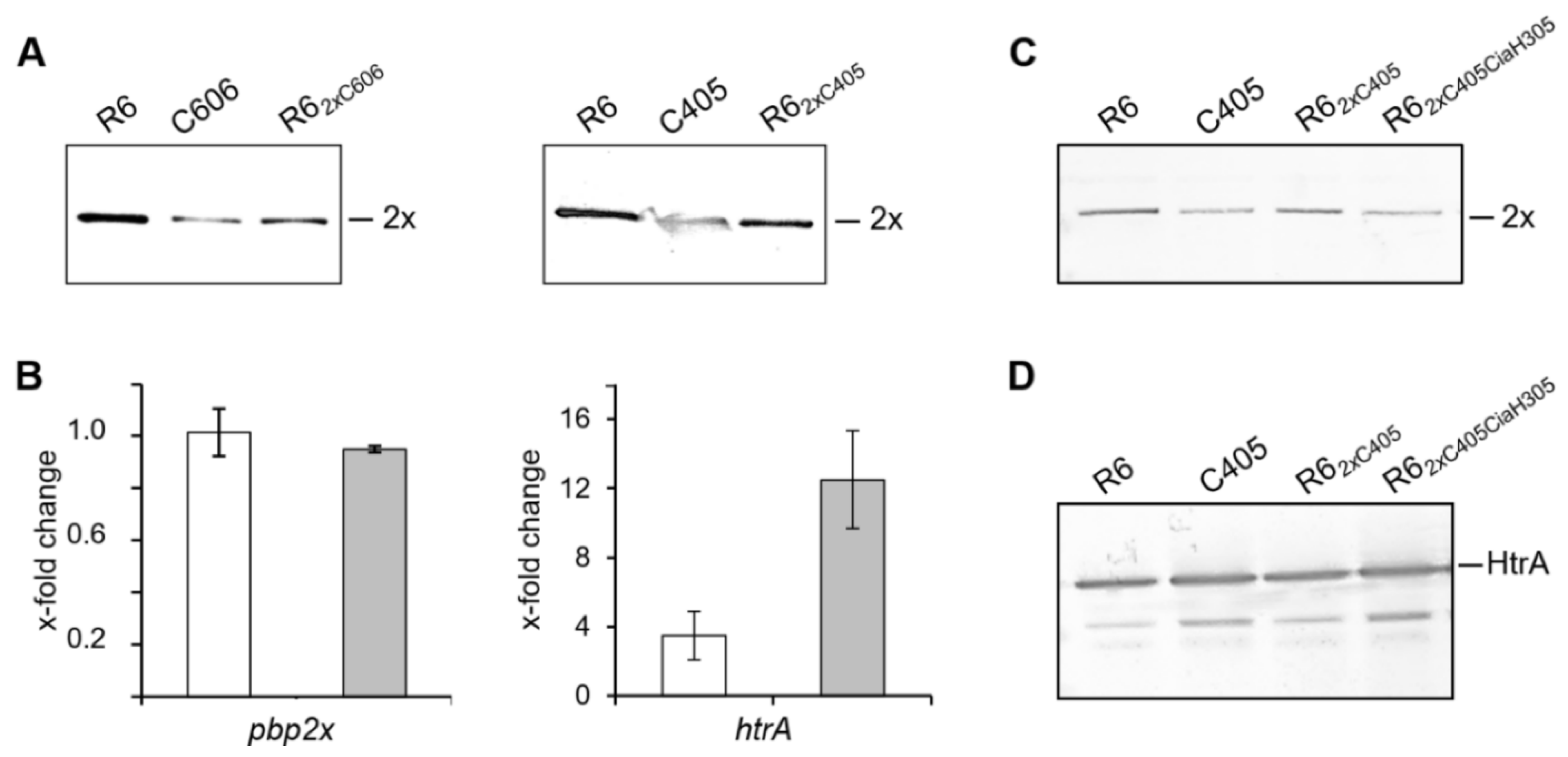 Microorganisms 09 01685 g003