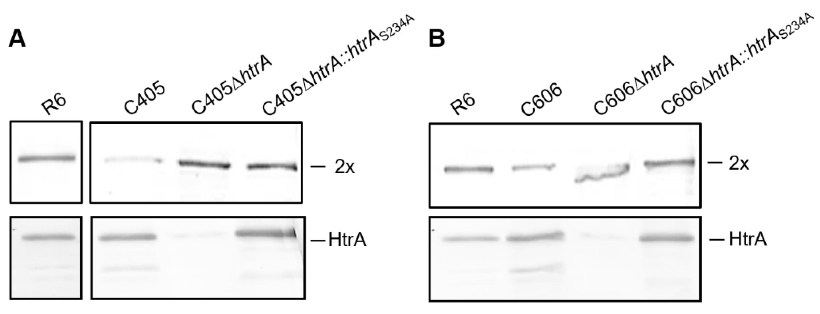 Microorganisms 09 01685 g004