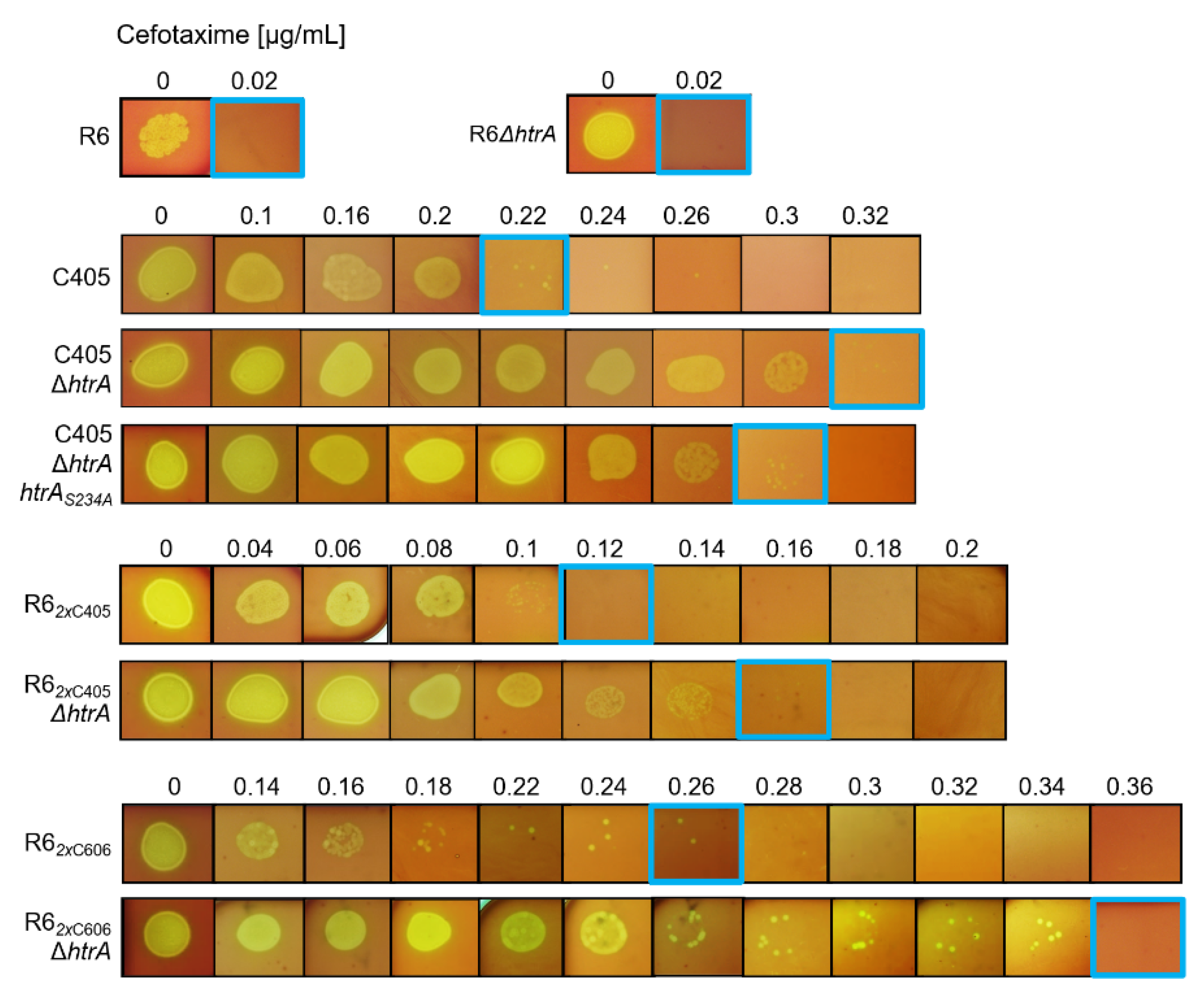 Microorganisms 09 01685 g006