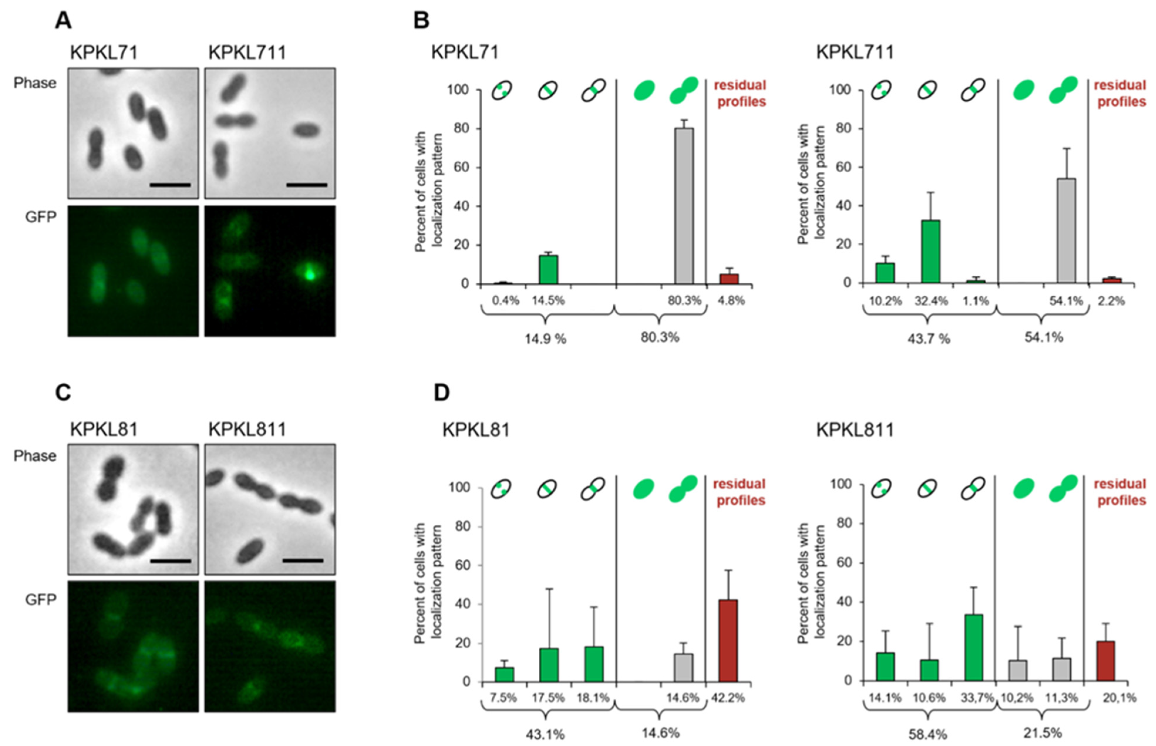 Microorganisms 09 01685 g007