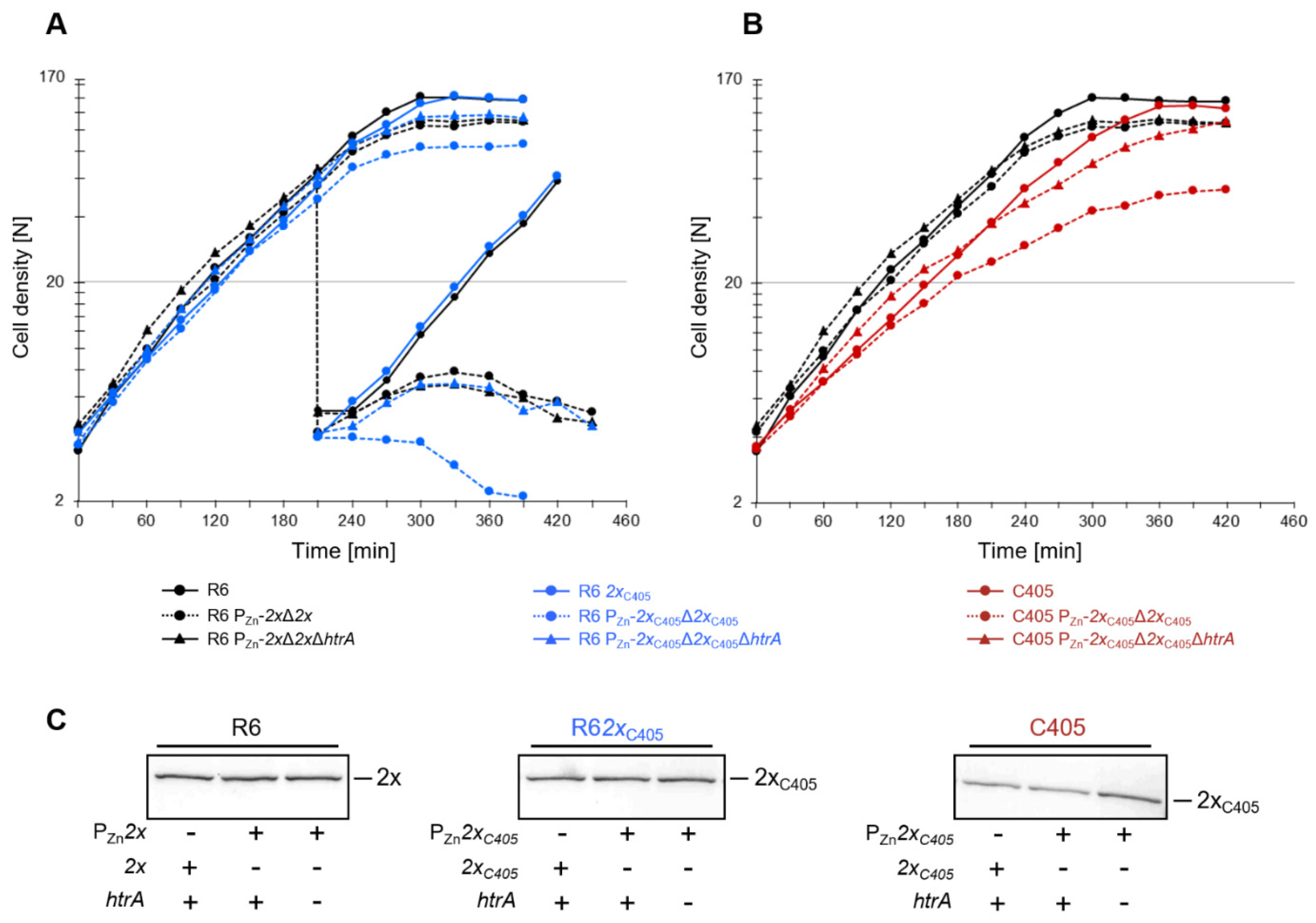 Microorganisms 09 01685 g008