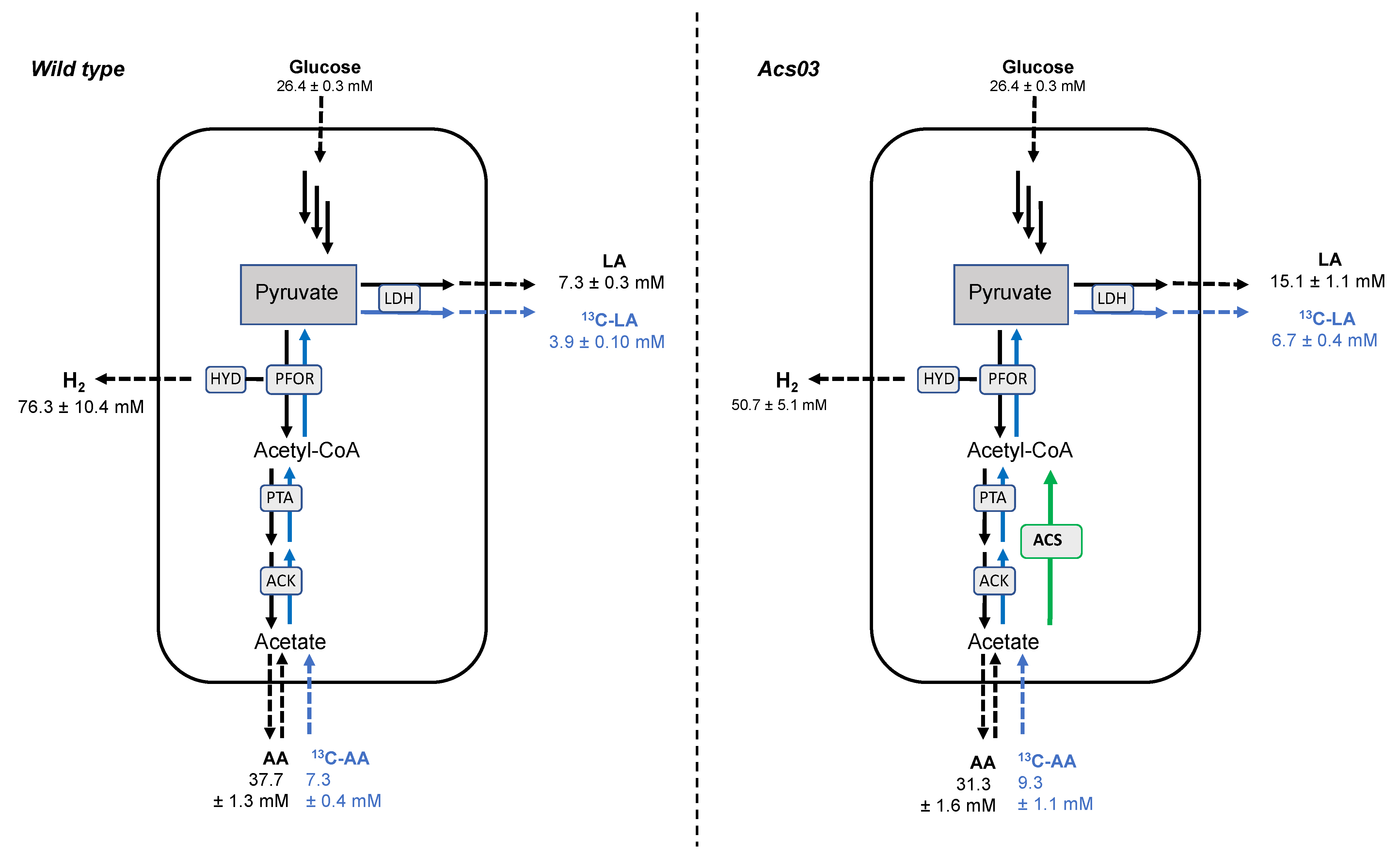 Microorganisms 09 01688 g003