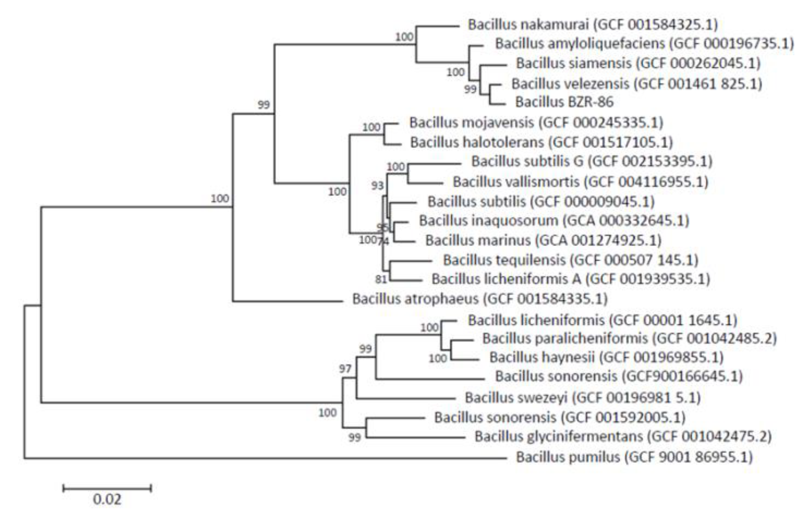 Microorganisms 09 01698 g001