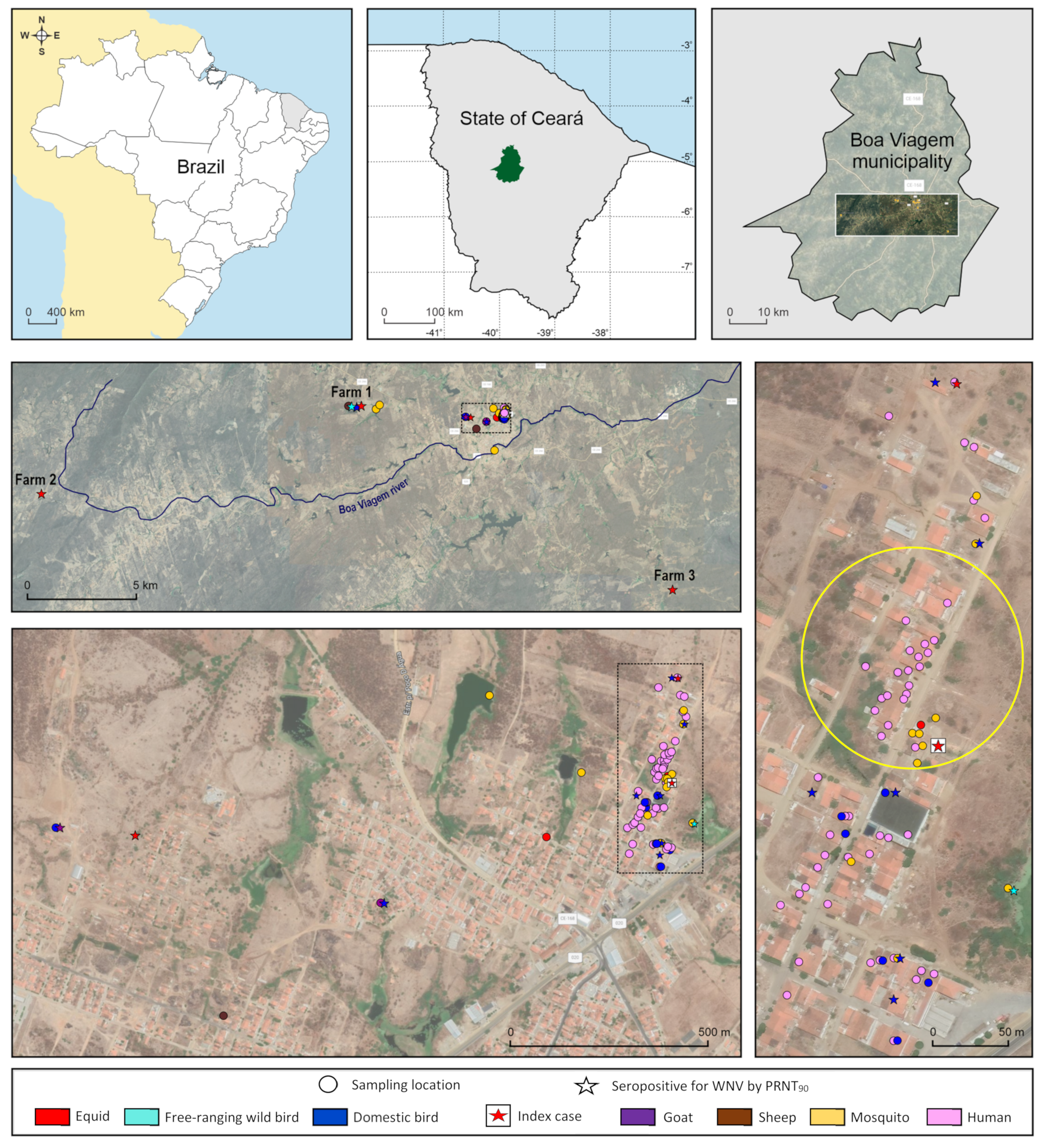 Microorganisms 09 01699 g001