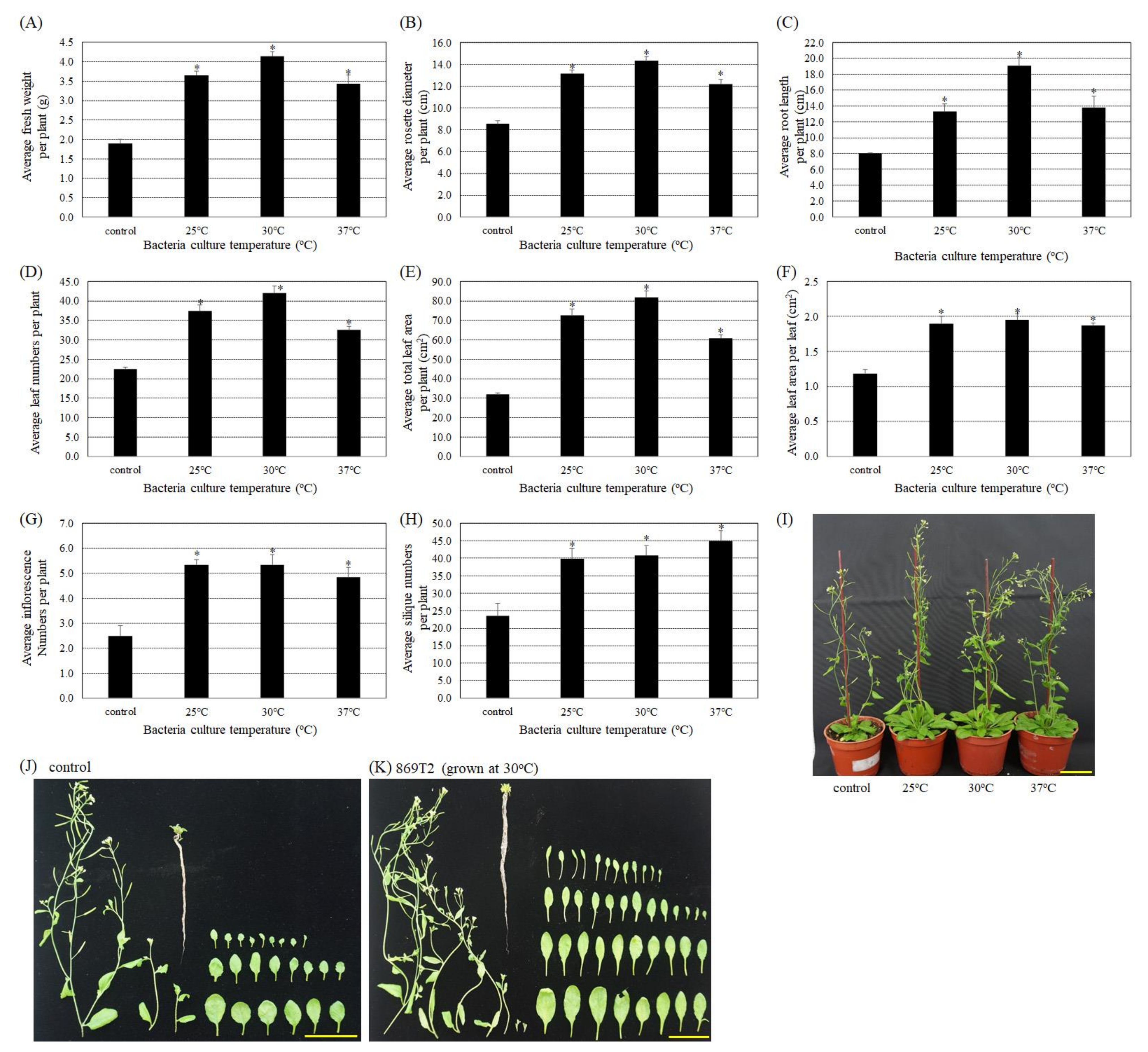 Microorganisms 09 01703 g002