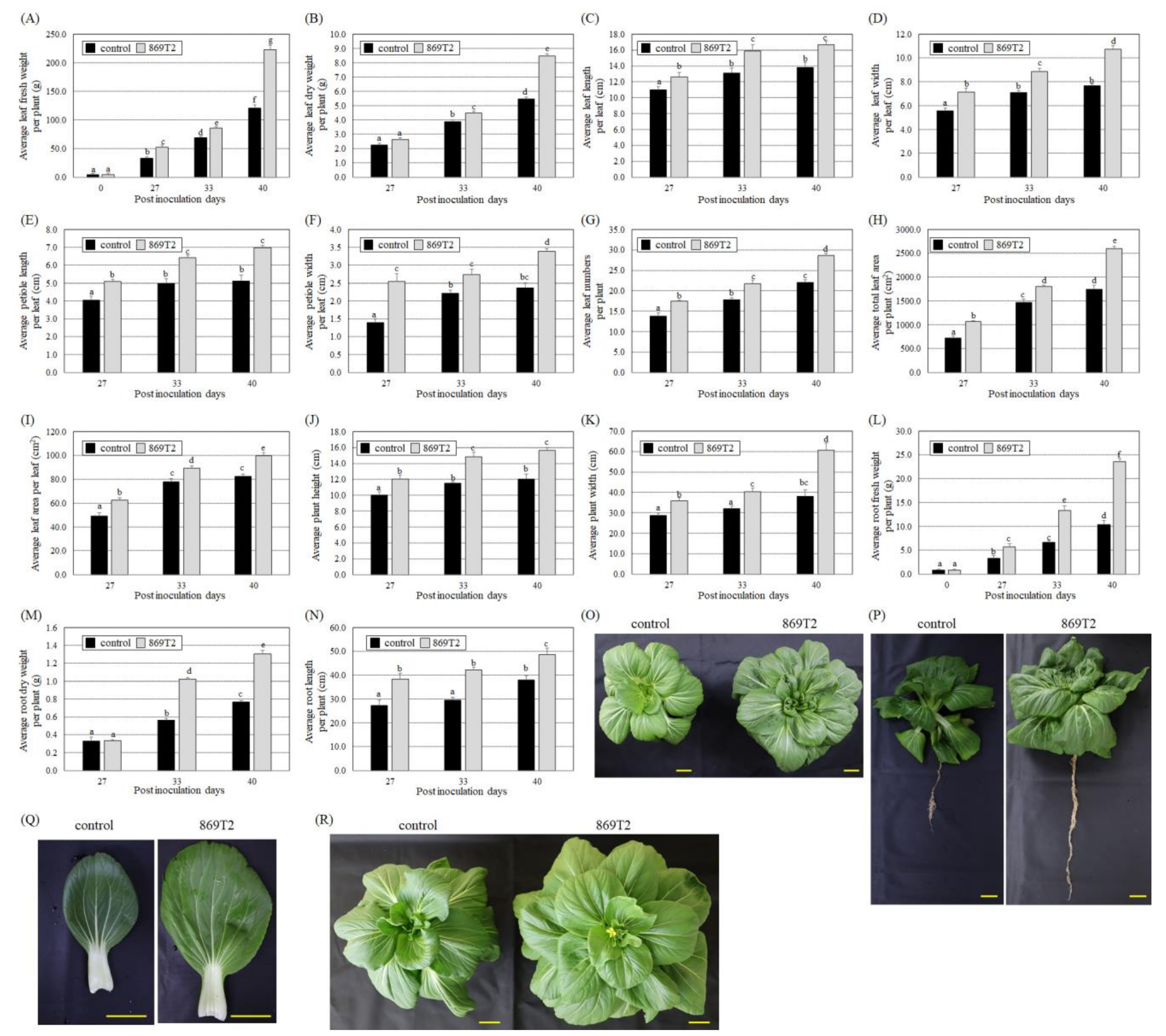 Microorganisms 09 01703 g003