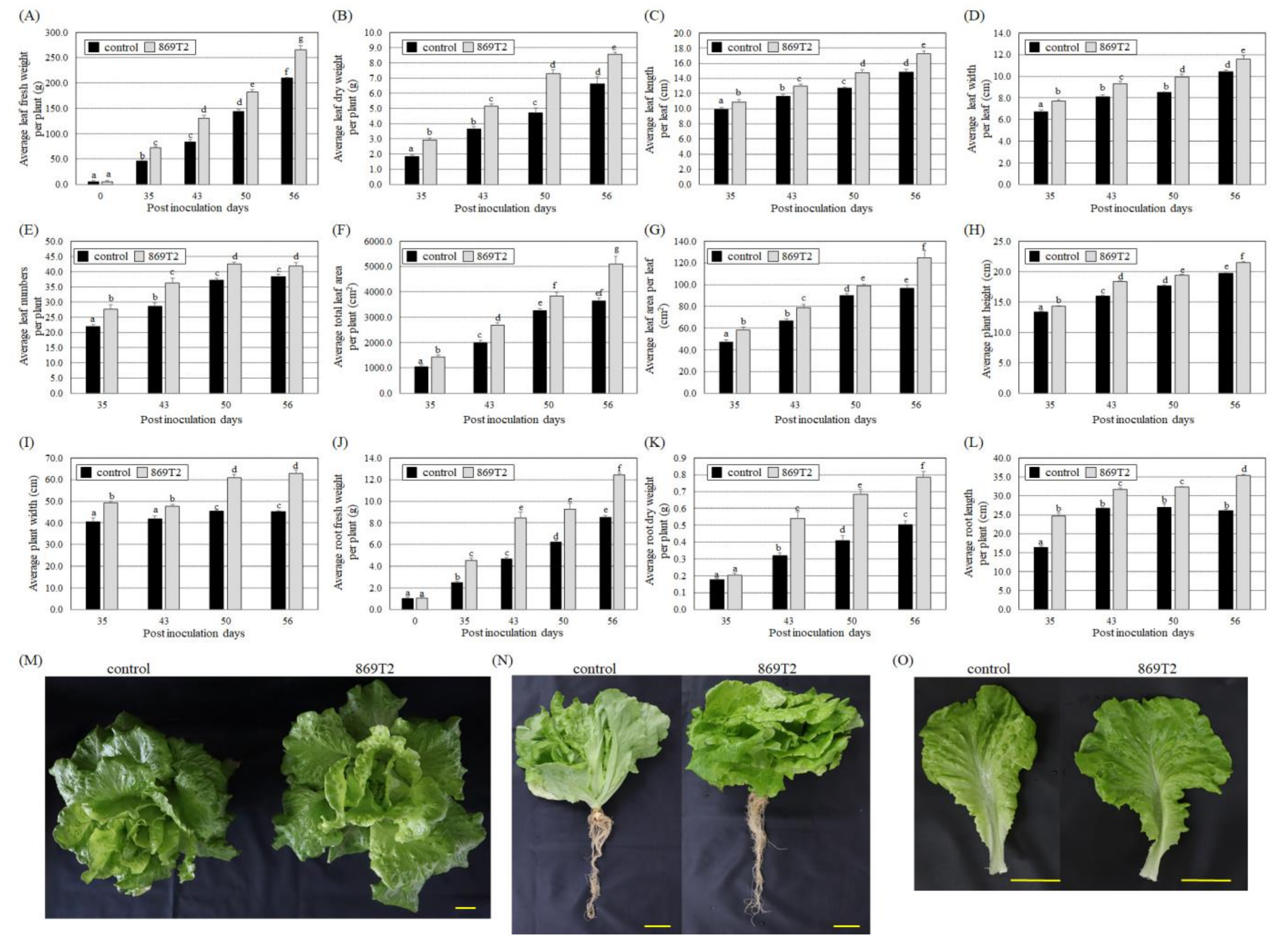 Microorganisms 09 01703 g004