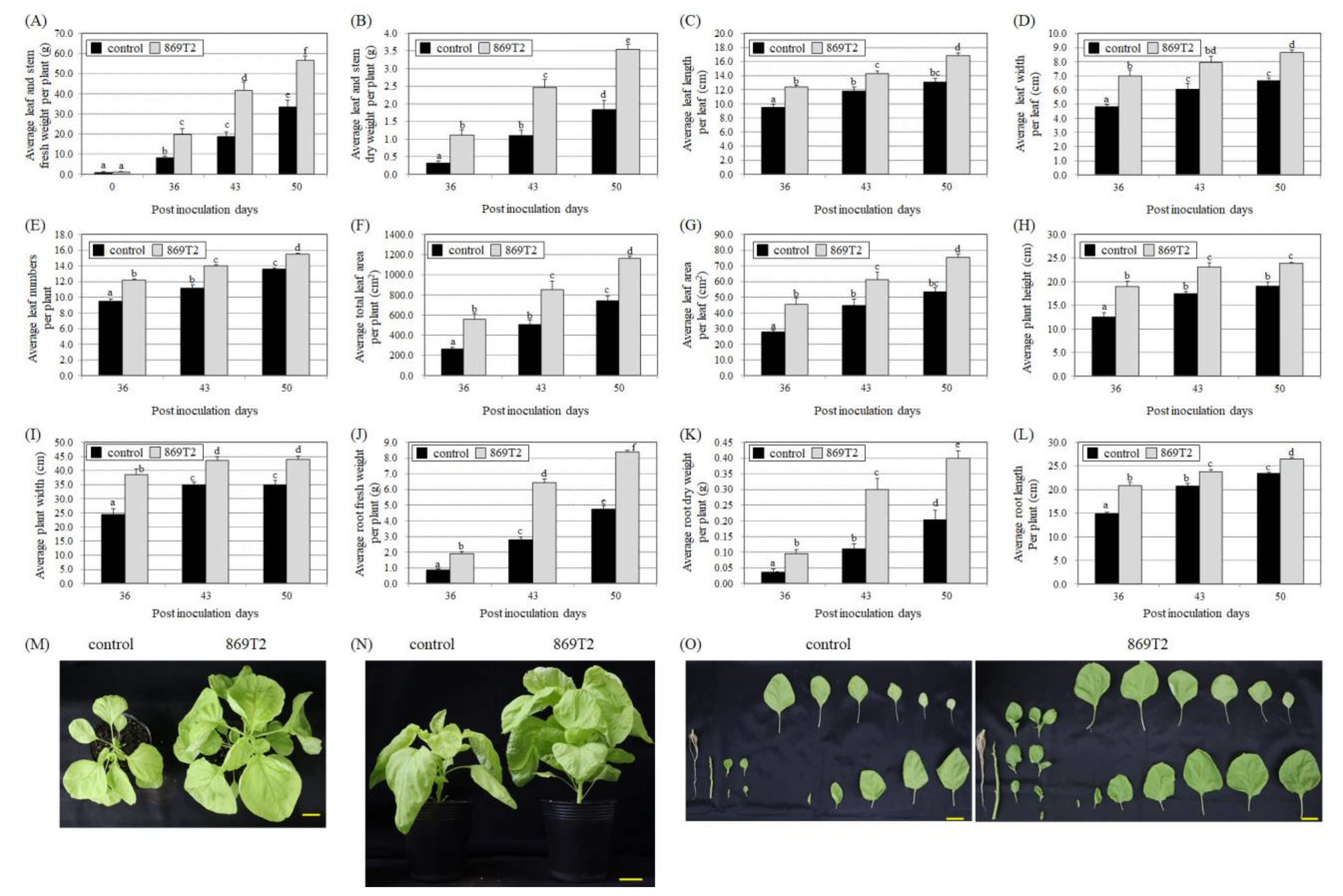 Microorganisms 09 01703 g005