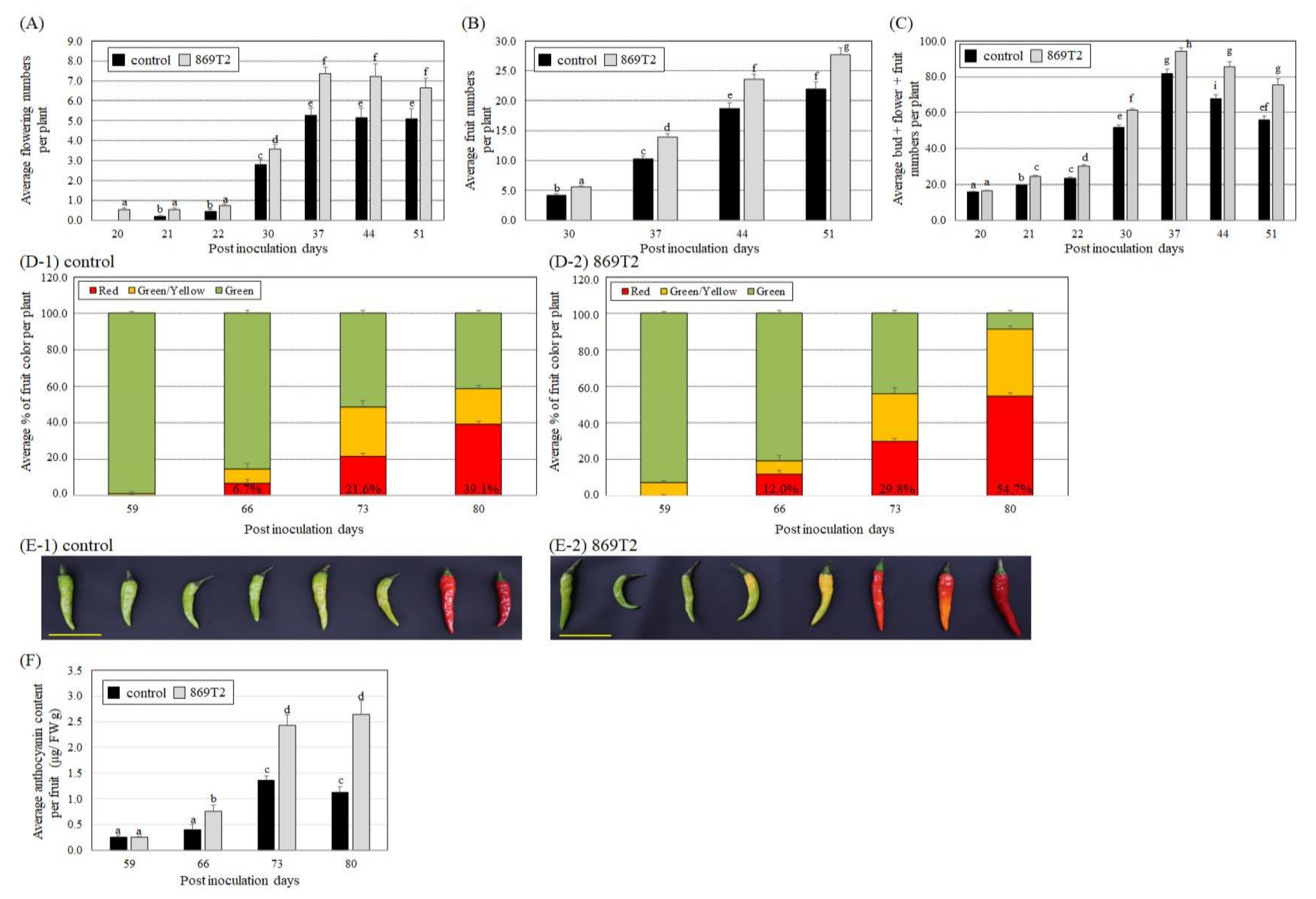 Microorganisms 09 01703 g006