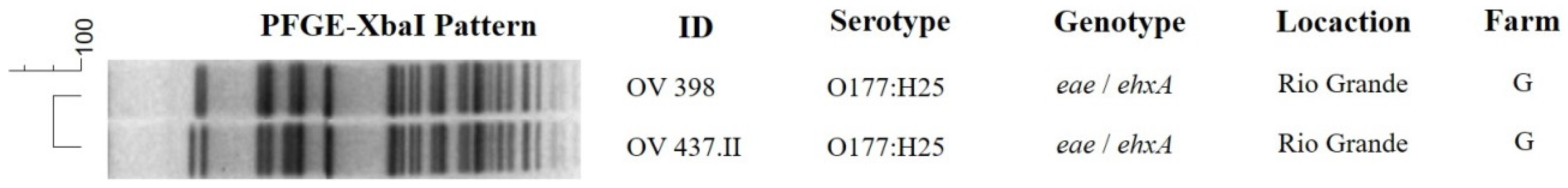 Microorganisms 09 01710 g004