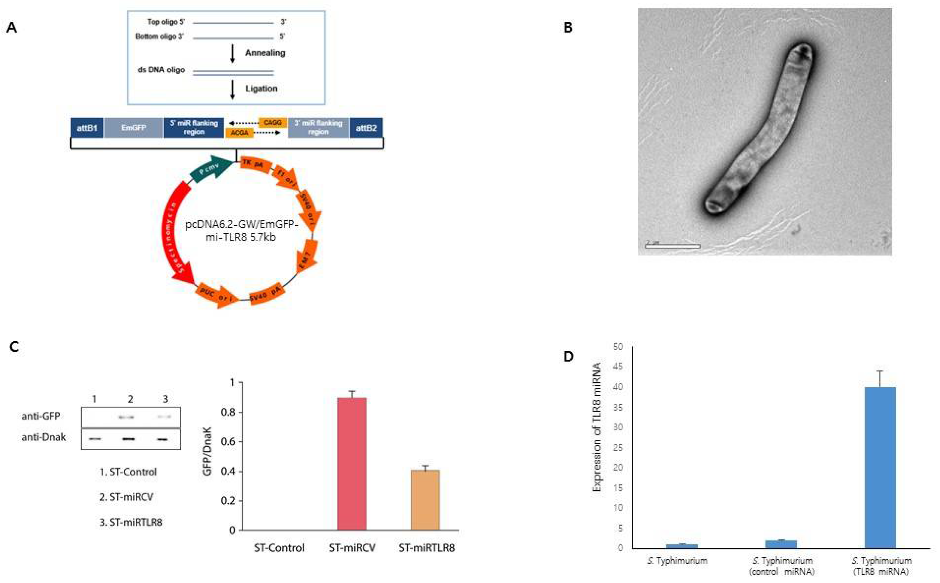 Microorganisms 09 01715 g002