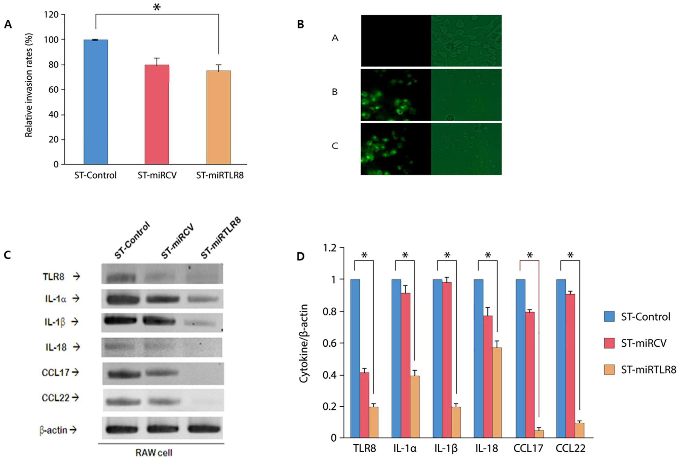 Microorganisms 09 01715 g003