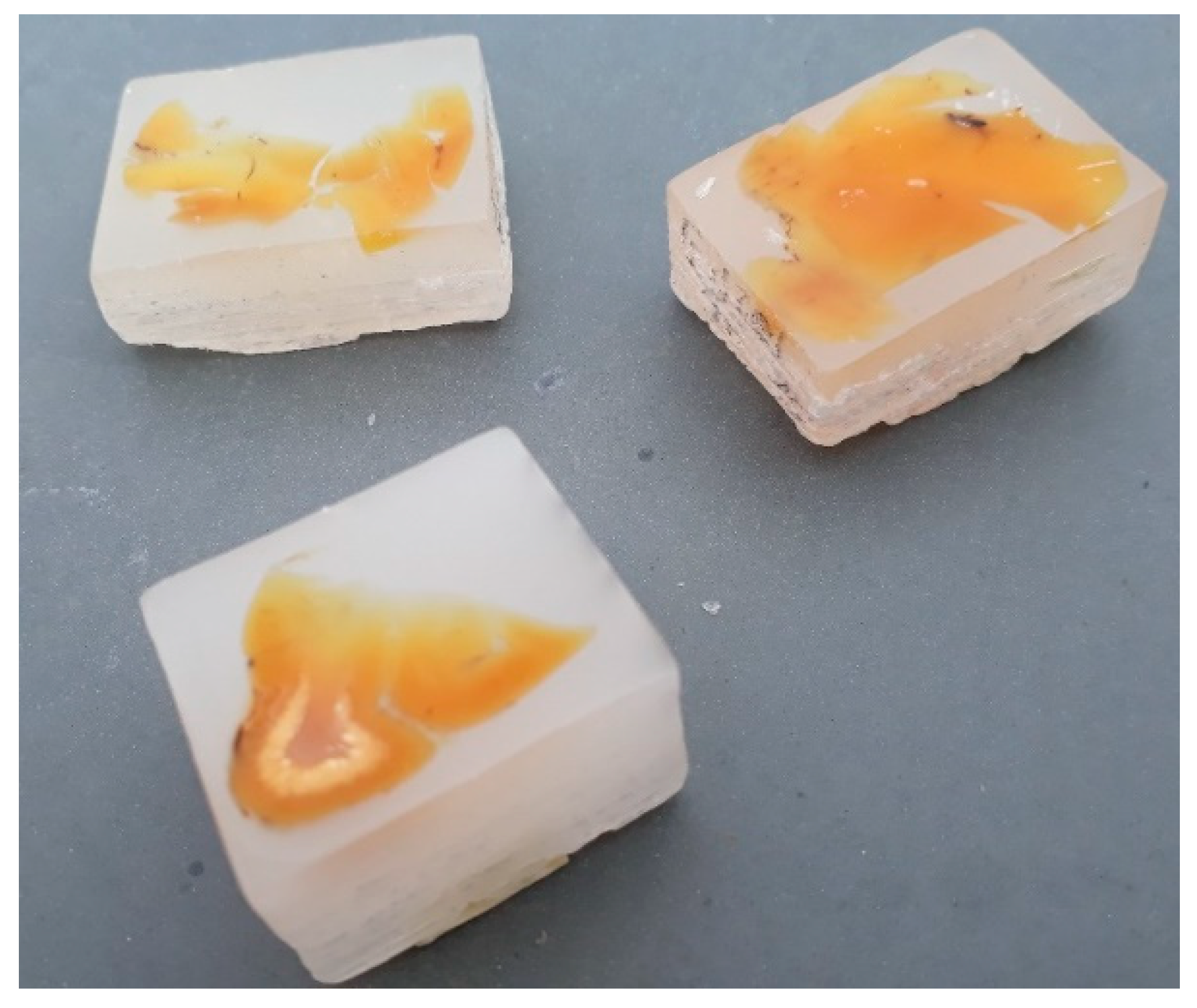 Microorganisms 09 01716 g001