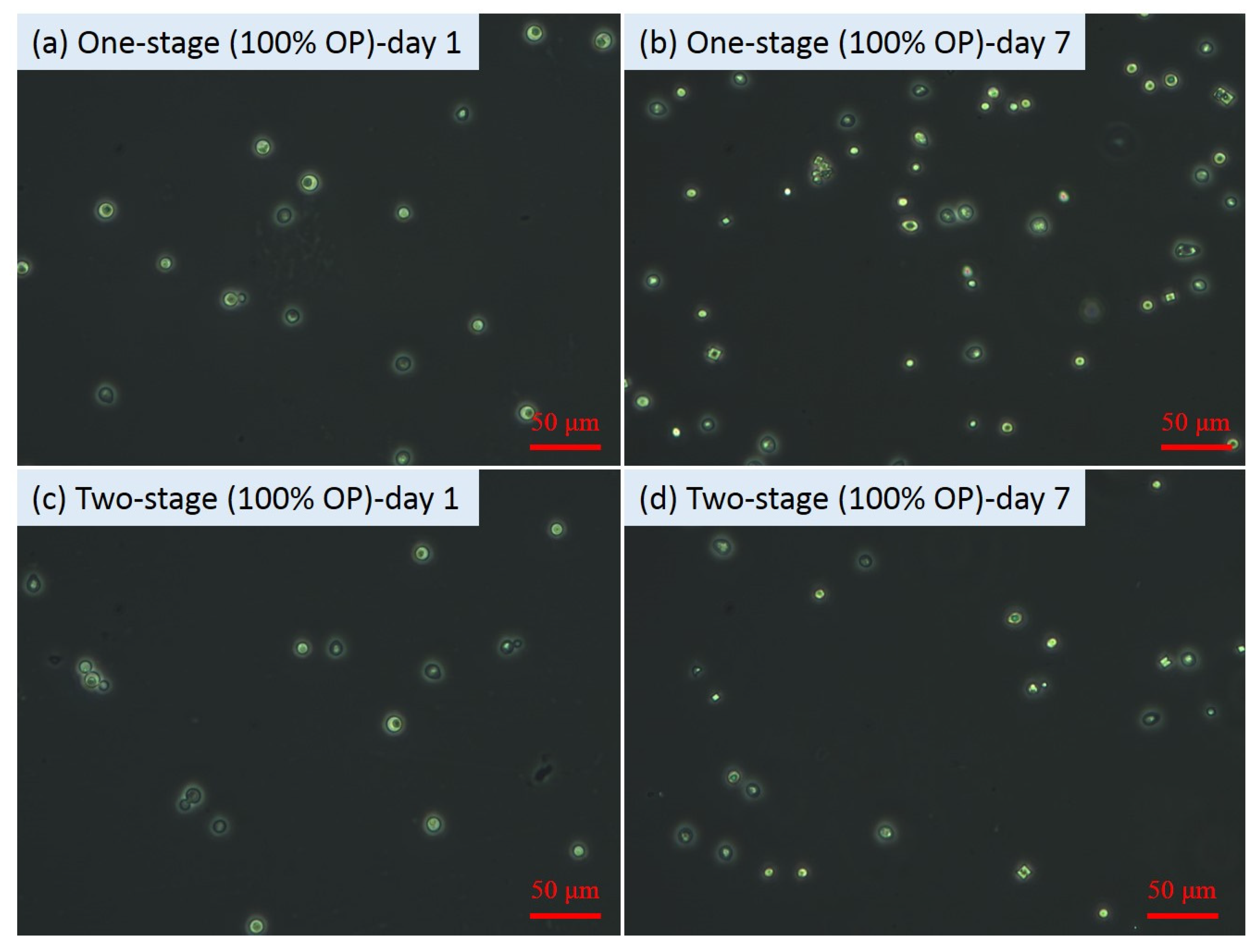 Microorganisms 09 01724 g003