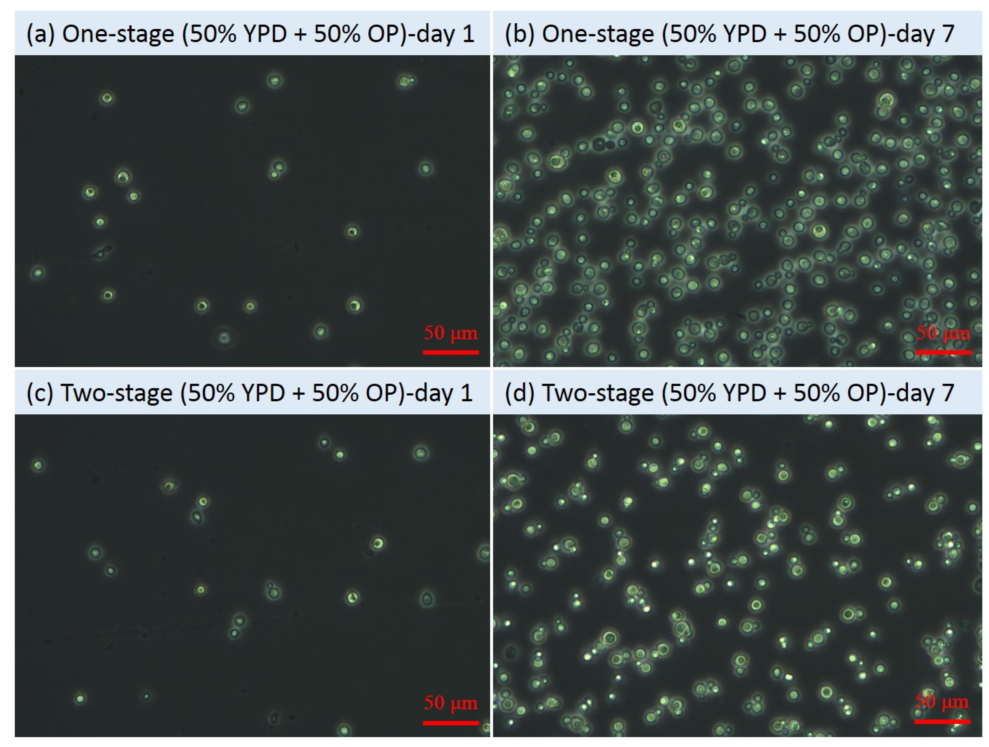 Microorganisms 09 01724 g004
