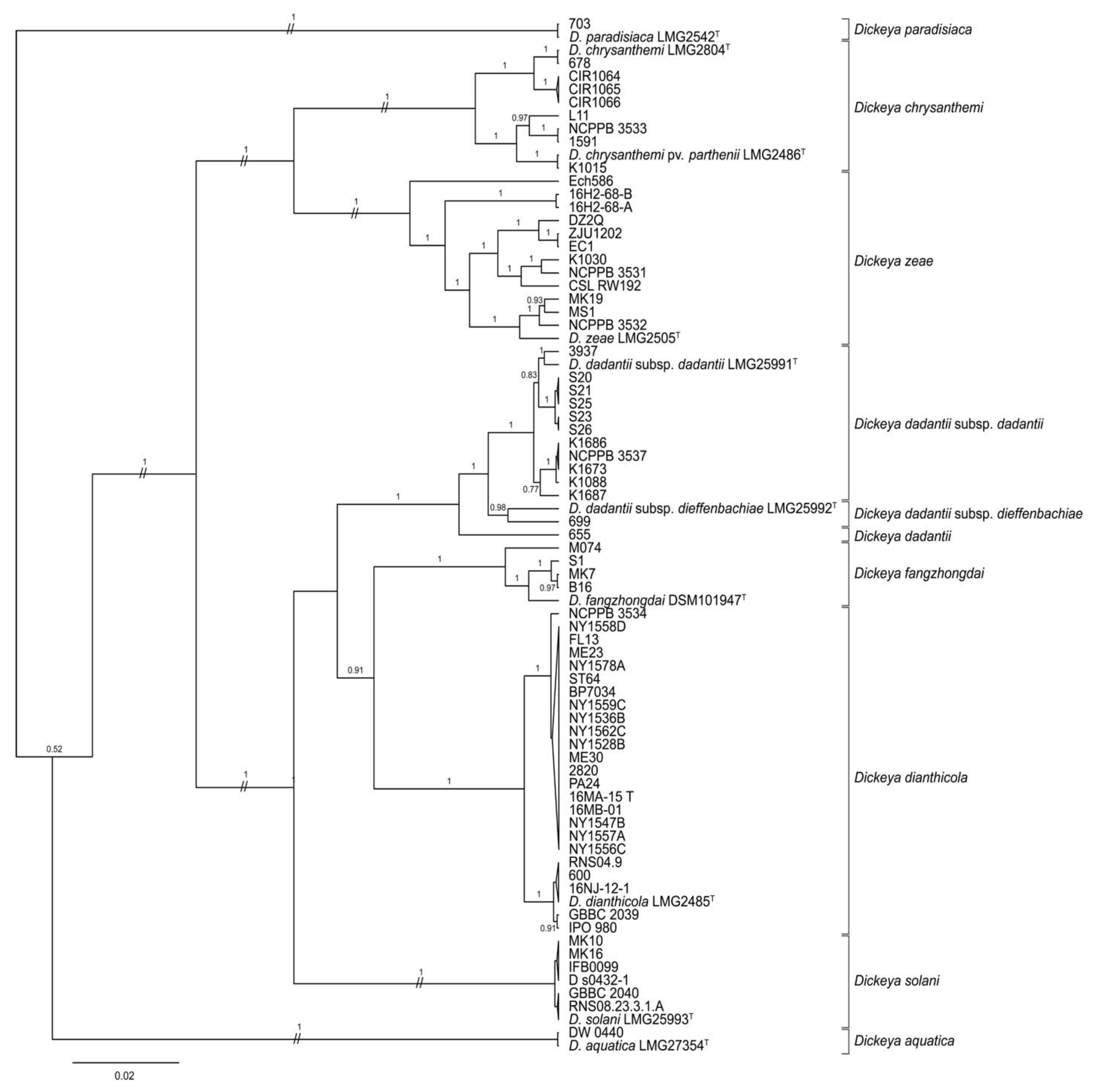 Microorganisms 09 01733 g001