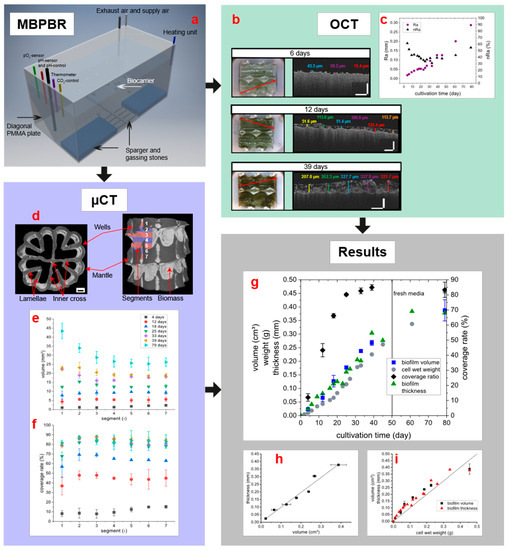 Microorganisms 09 01743 g002