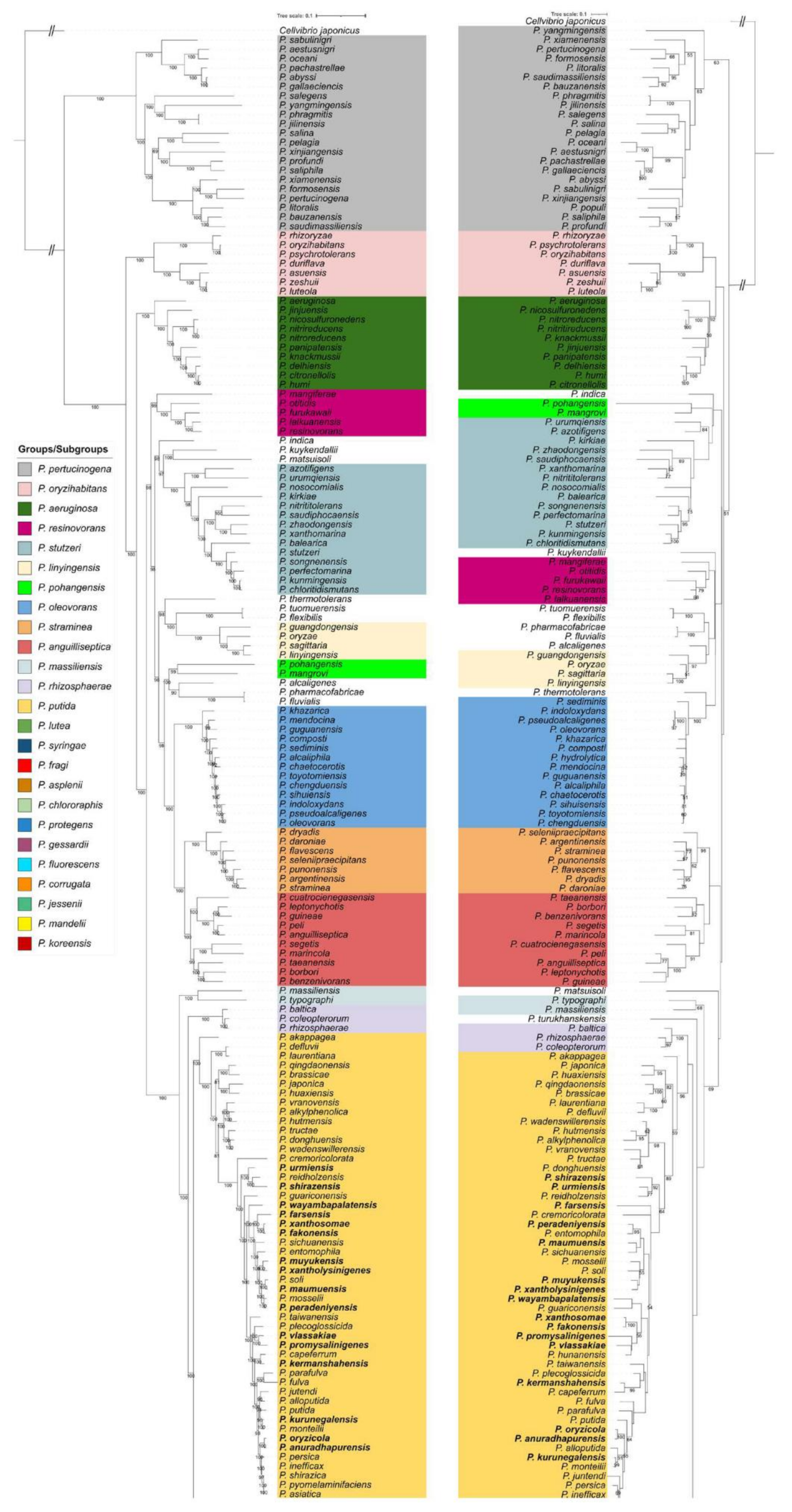 Microorganisms 09 01766 g001a