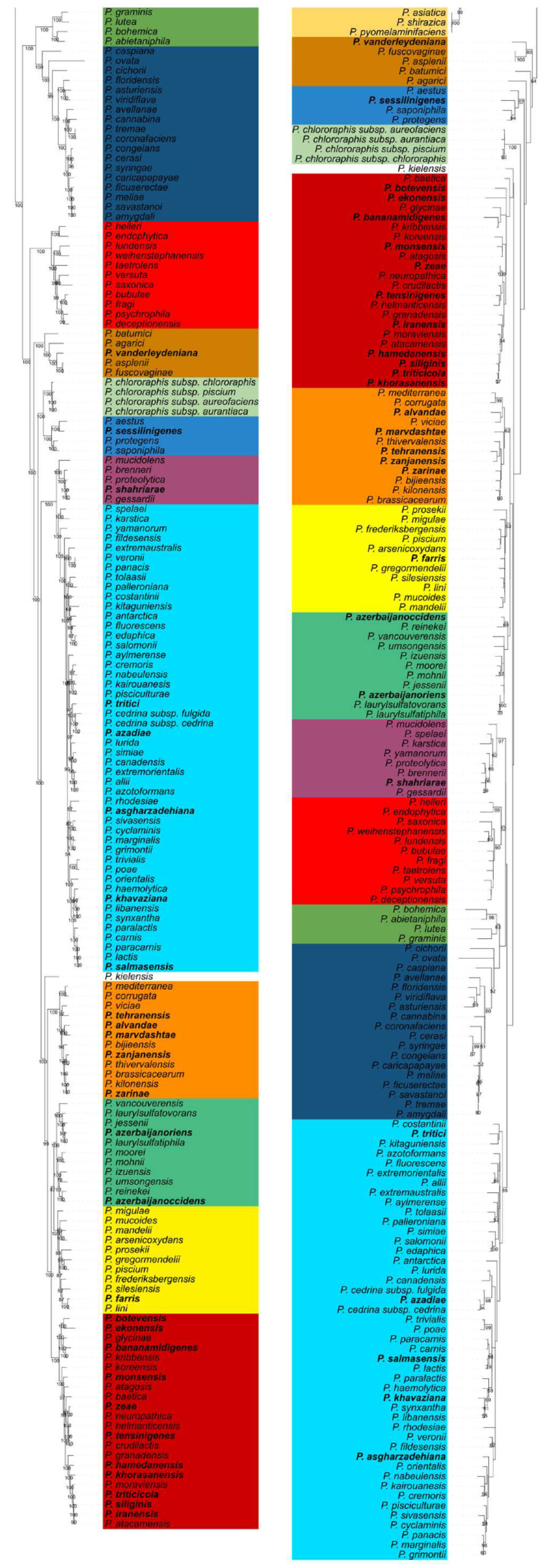Microorganisms 09 01766 g001b