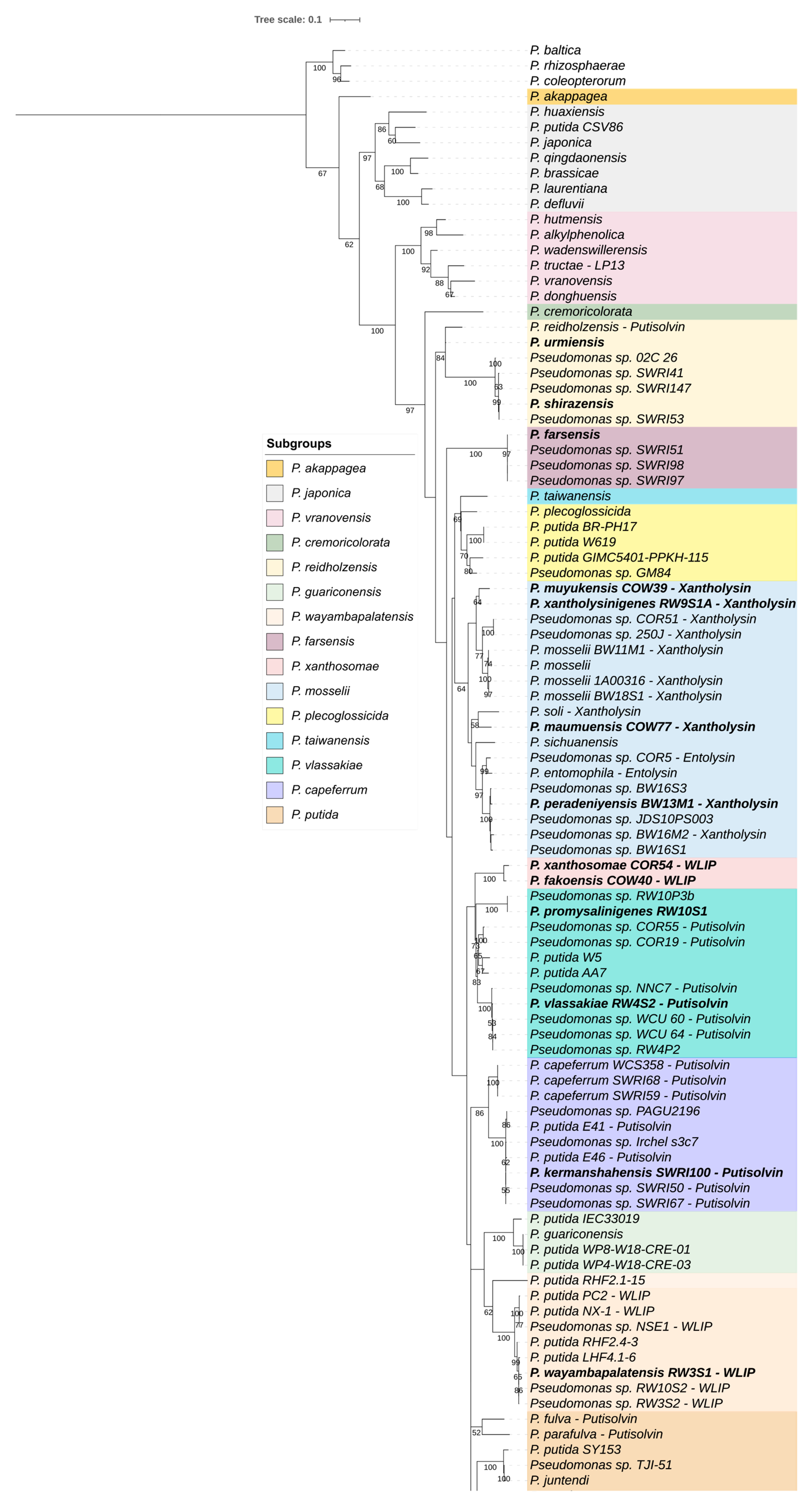 Microorganisms 09 01766 g002a