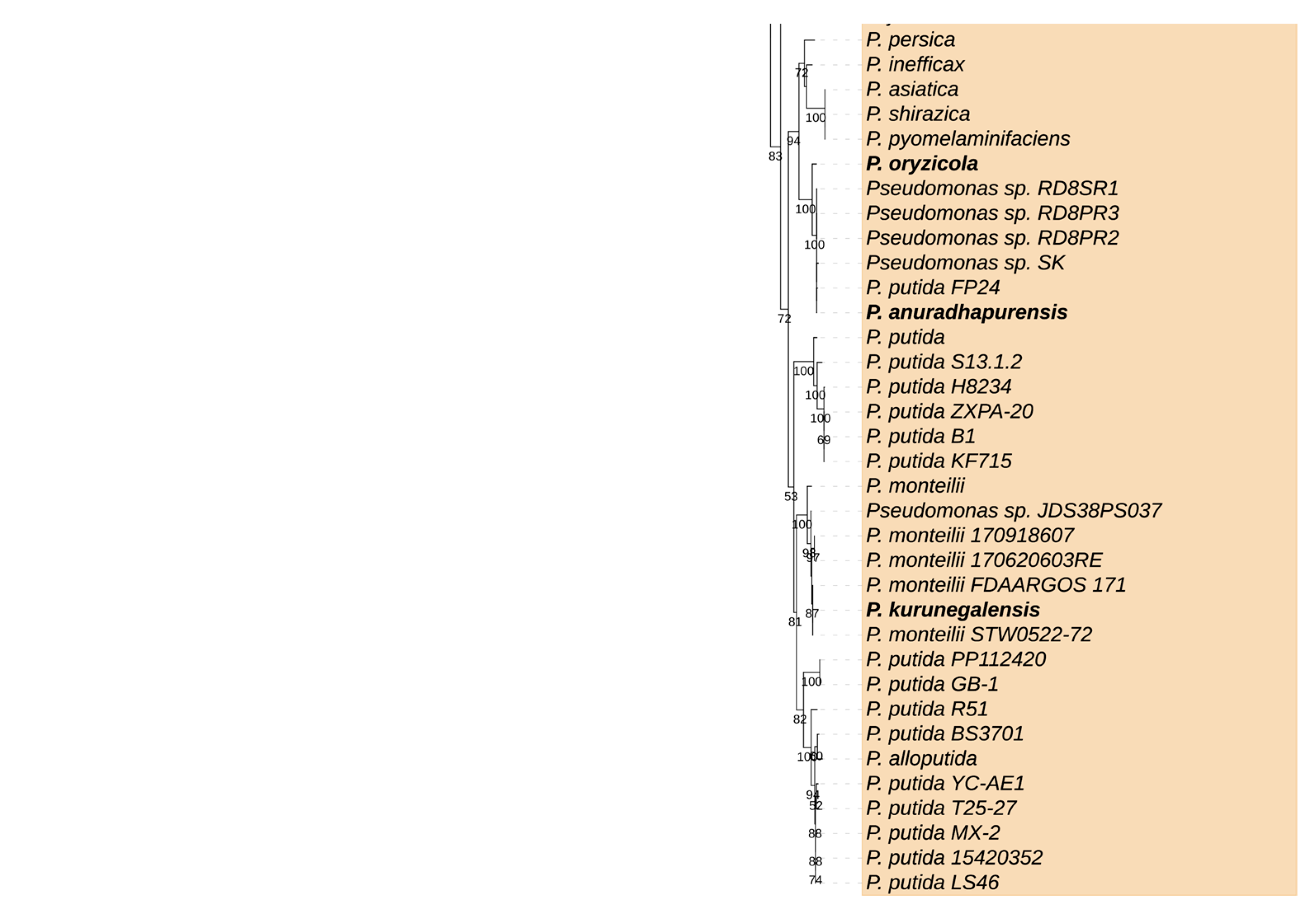 Microorganisms 09 01766 g002b