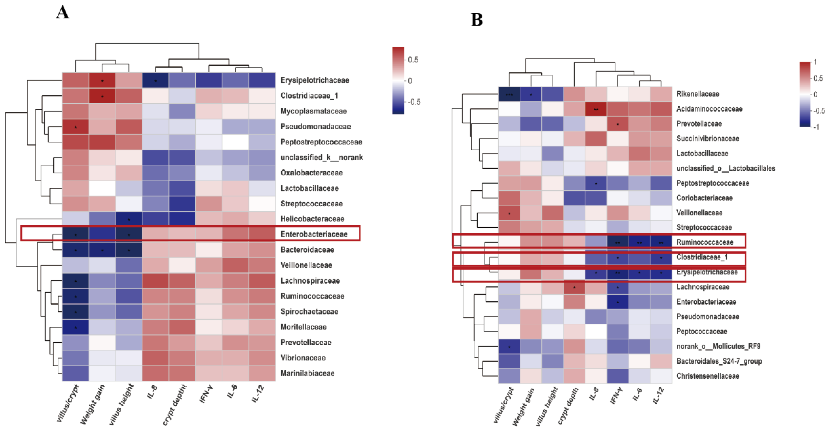 Microorganisms 09 01767 g009