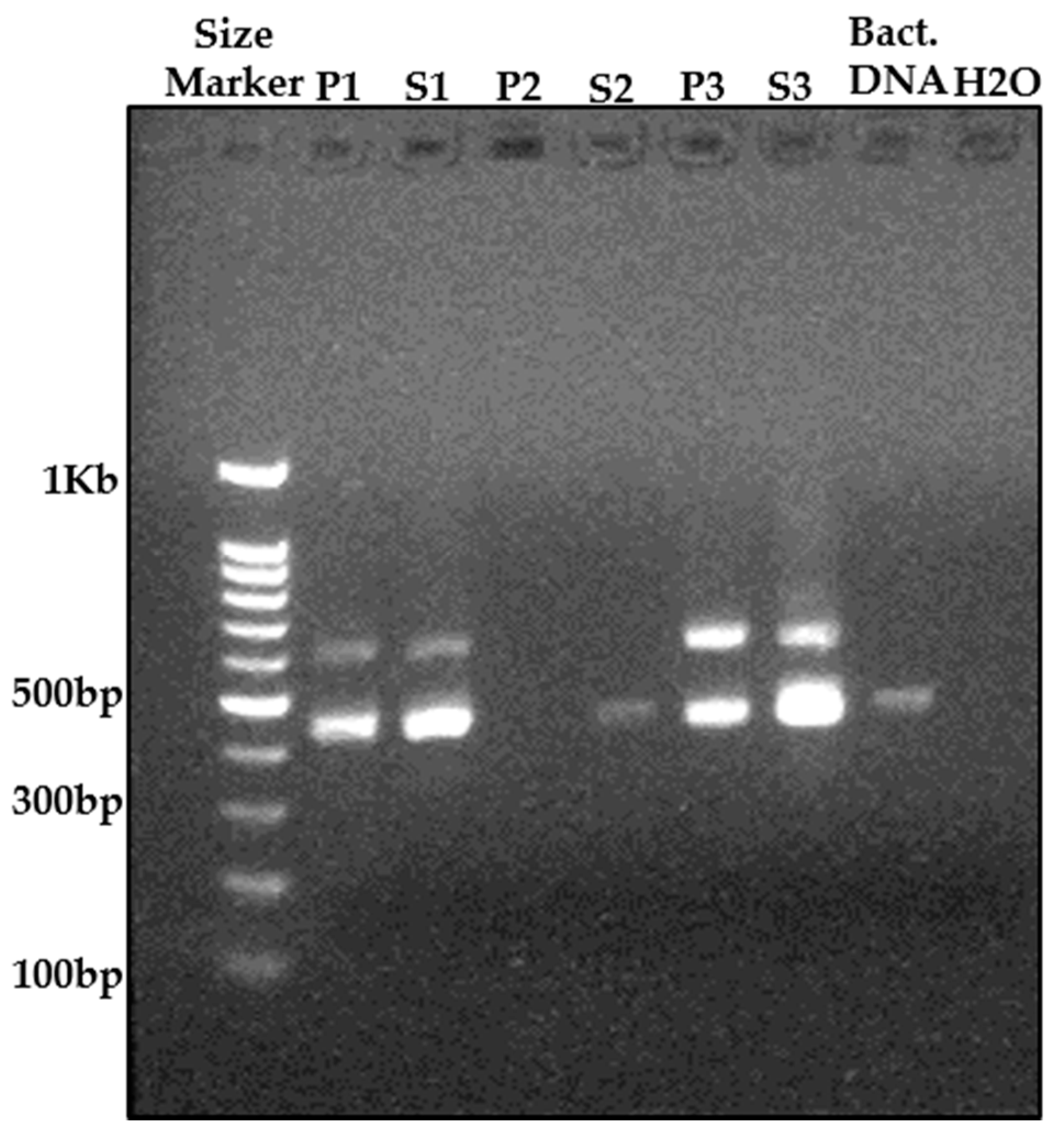 Microorganisms 09 01785 g001 Microorganisms 09 01785 g001