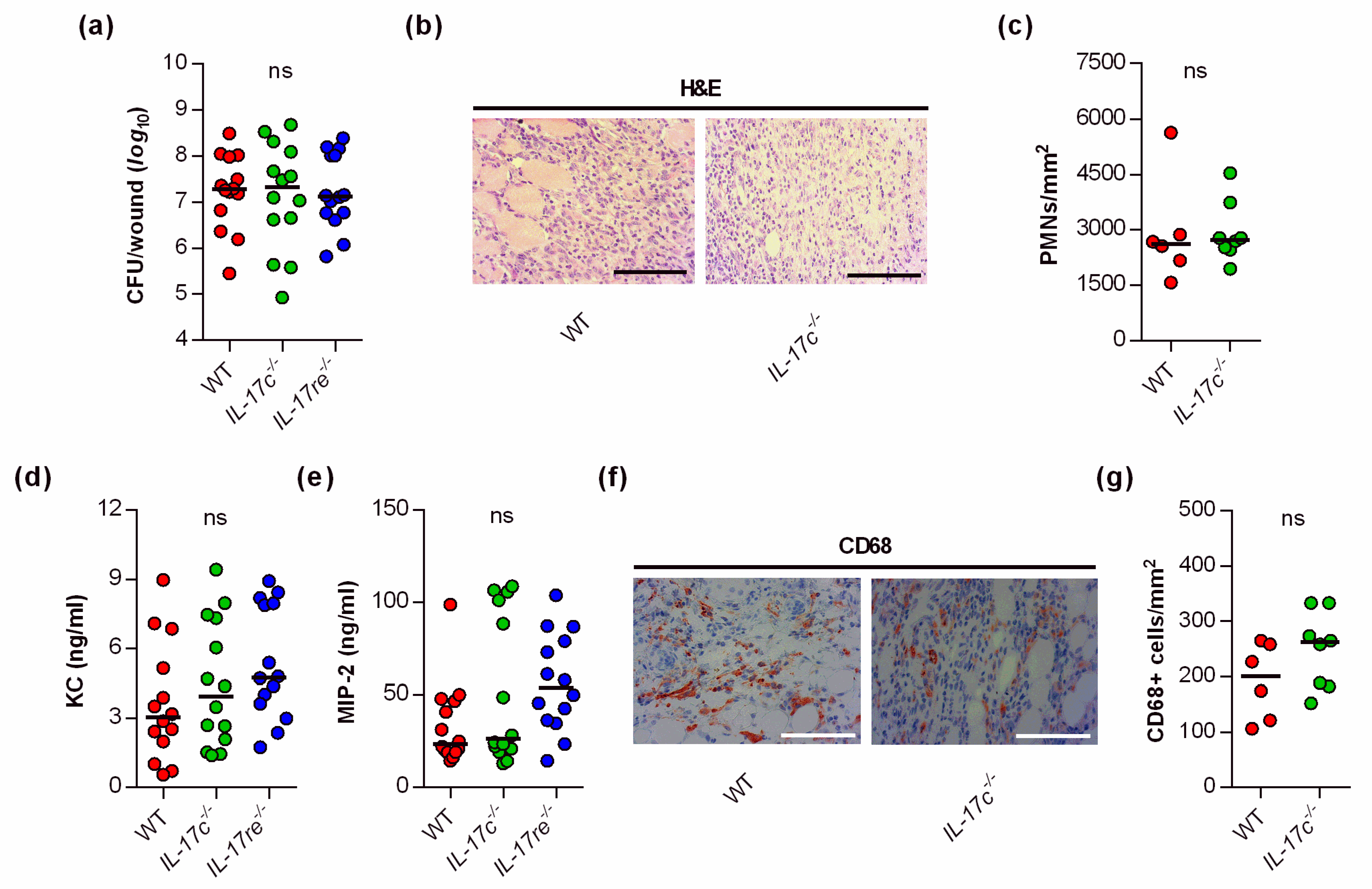 Microorganisms 09 01821 g002