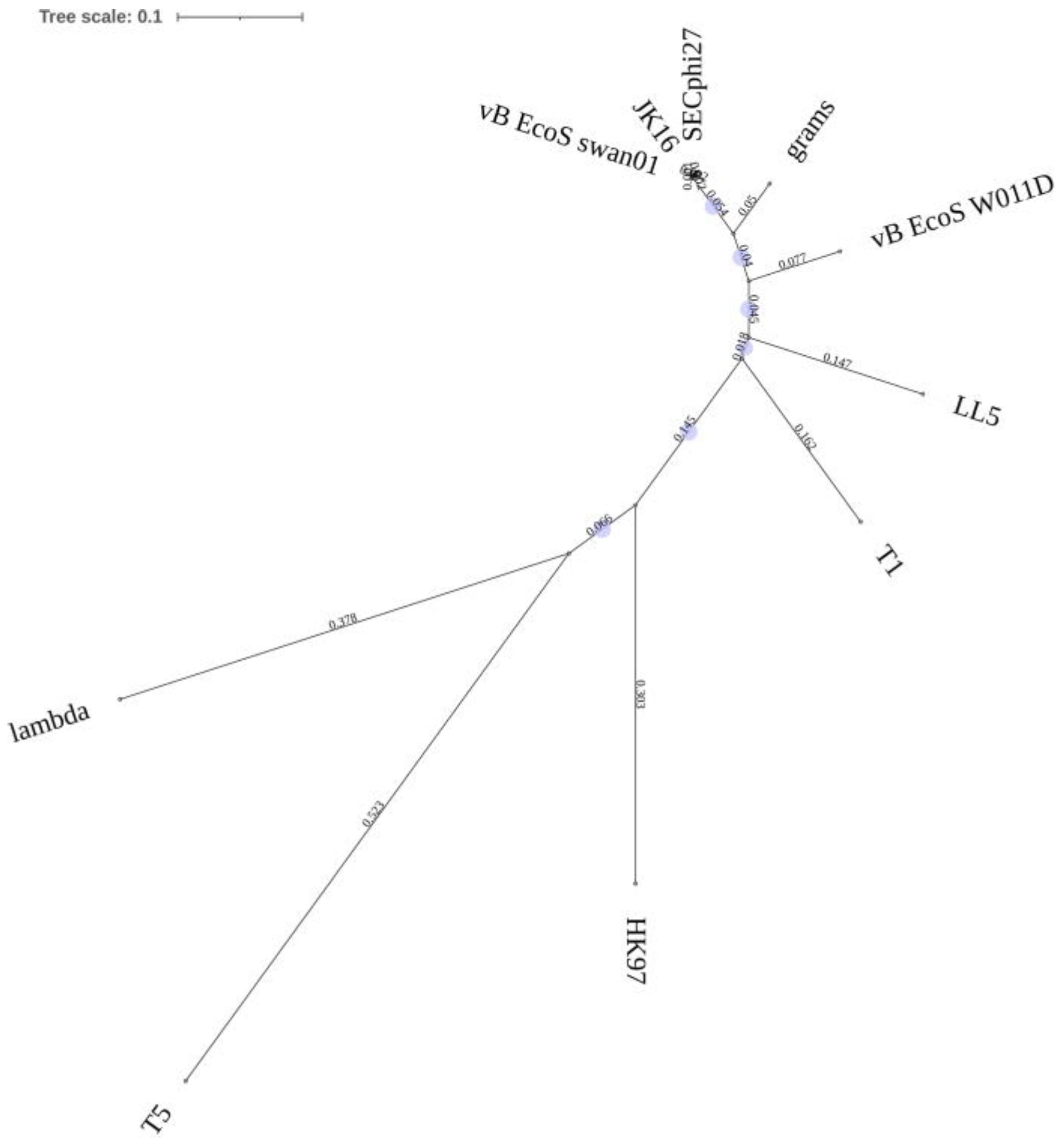 Microorganisms 09 01869 g002 Microorganisms 09 01869 g002