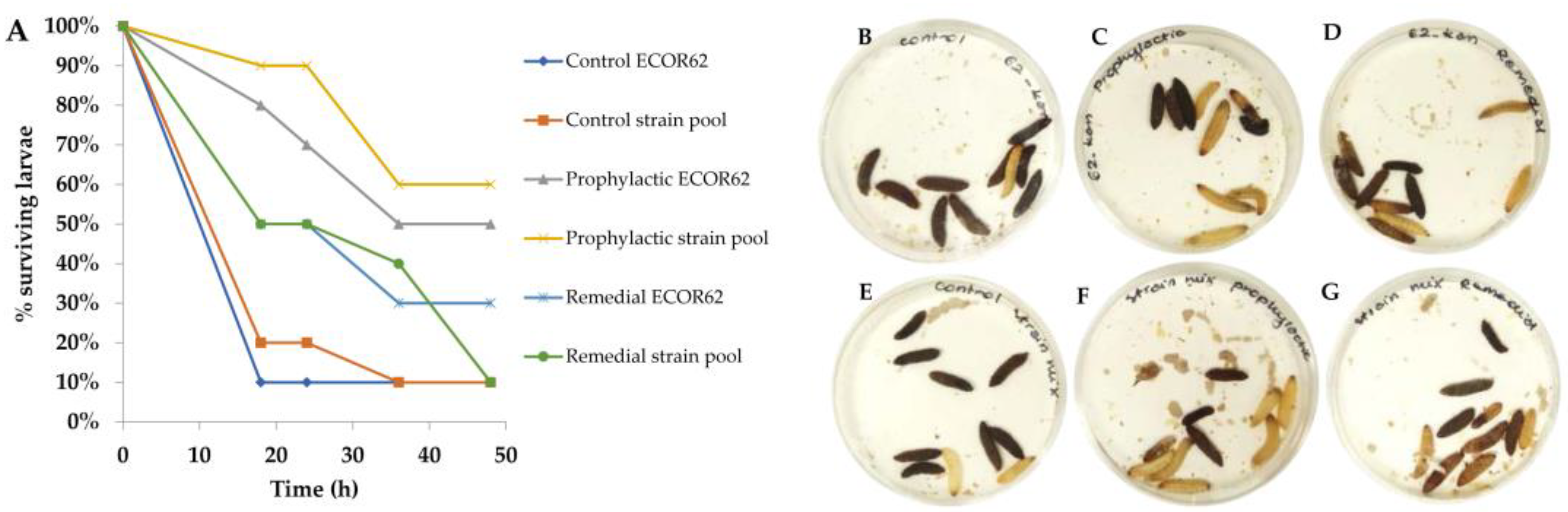 Microorganisms 09 01869 g005 Microorganisms 09 01869 g005