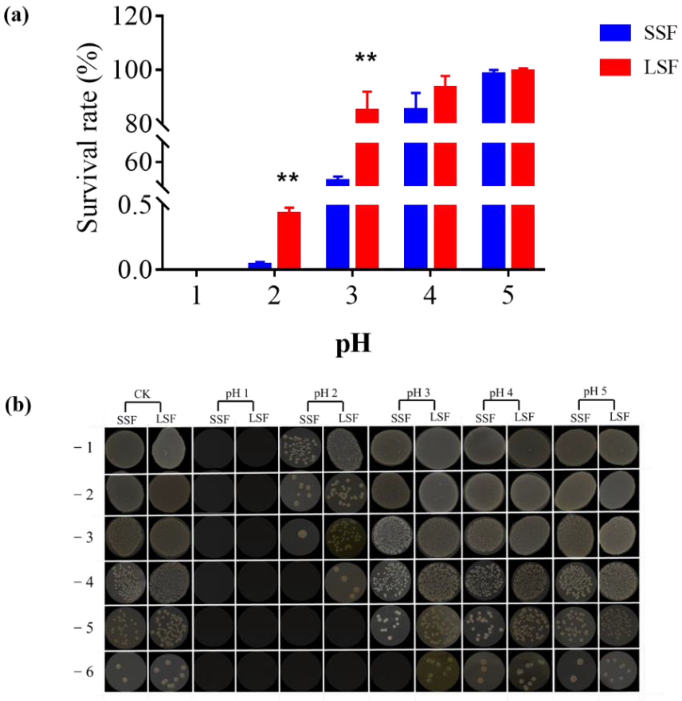 Microorganisms 09 01951 g001