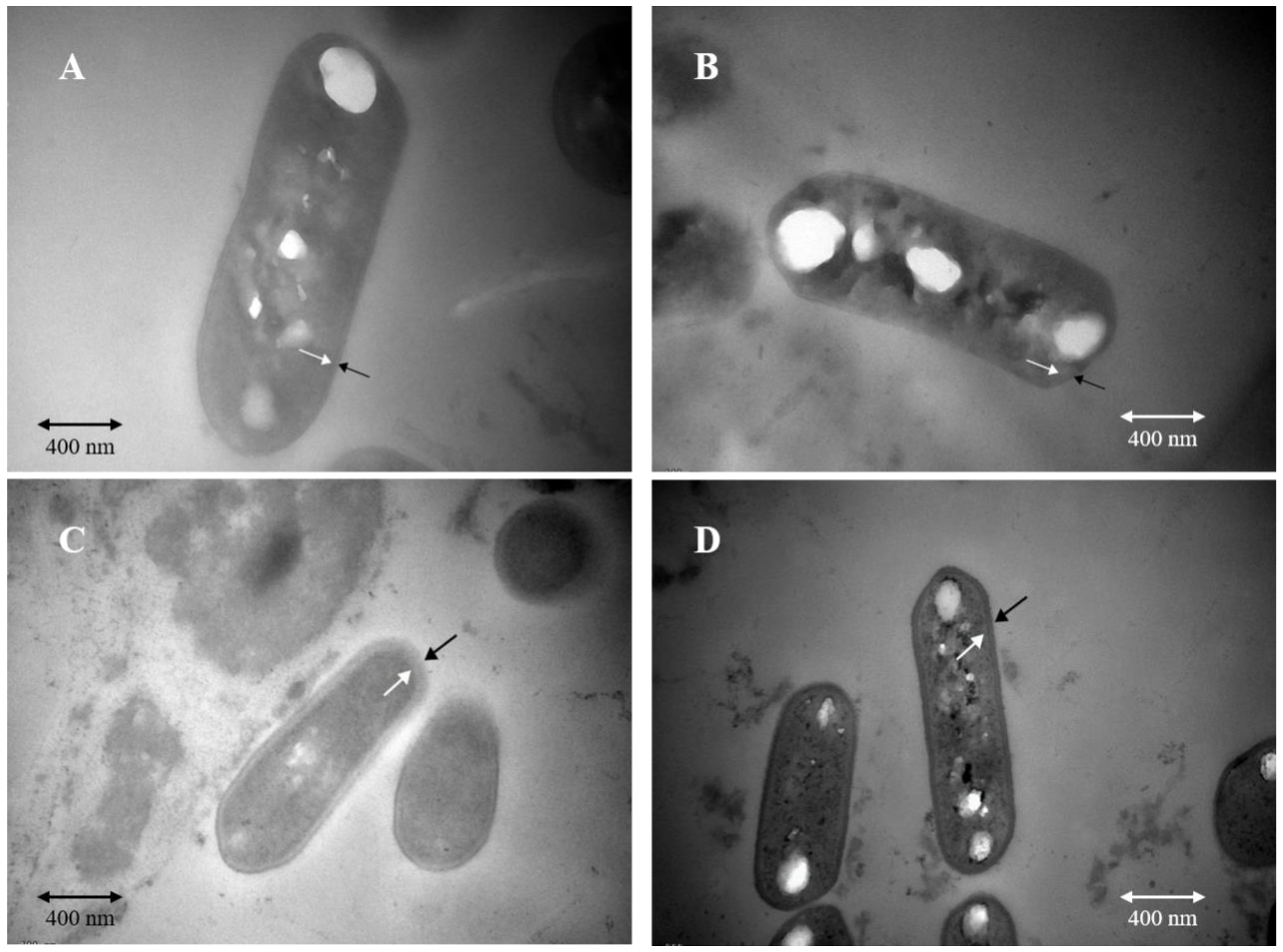 Microorganisms 09 01951 g002