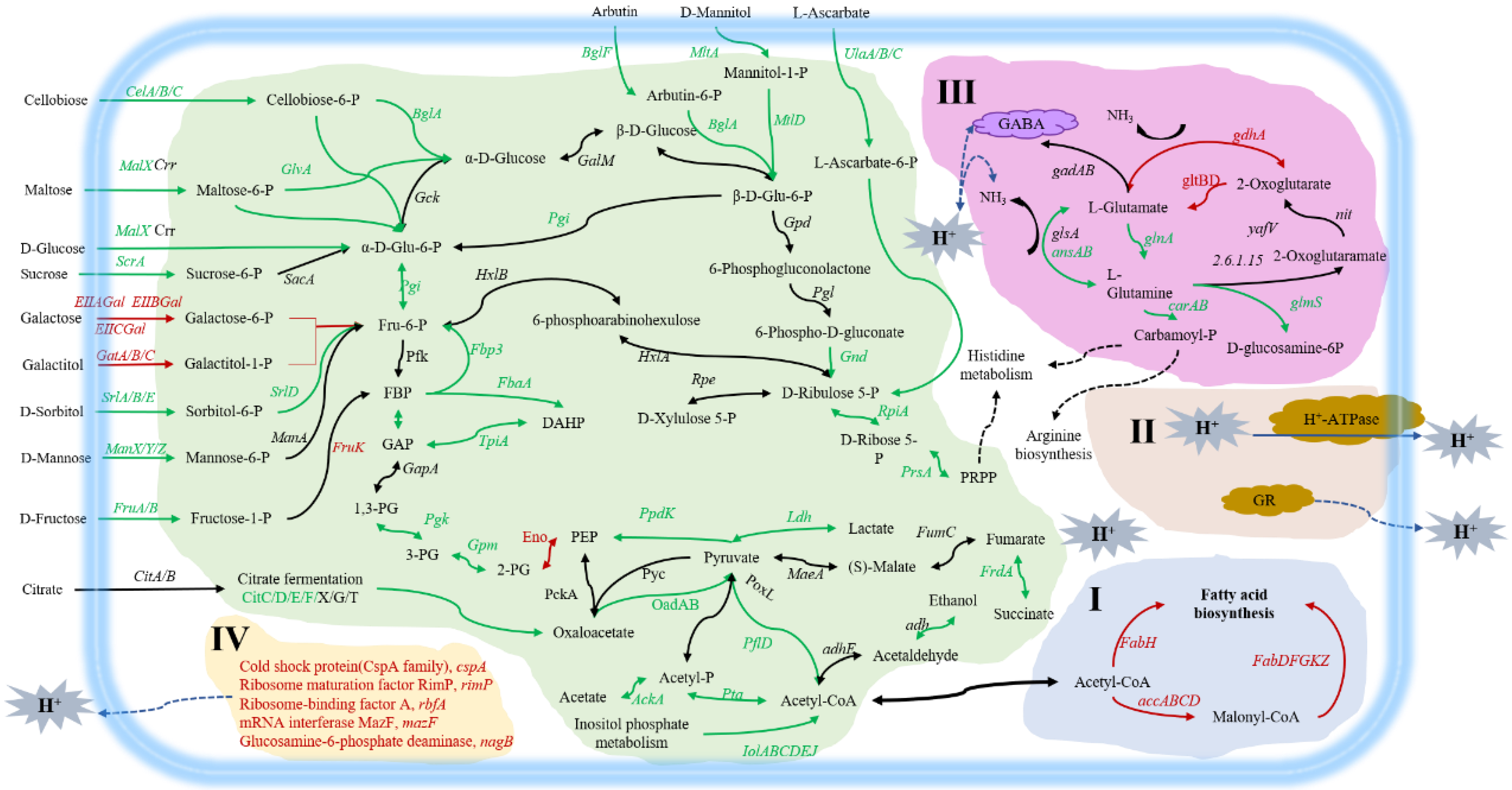 Microorganisms 09 01951 g005
