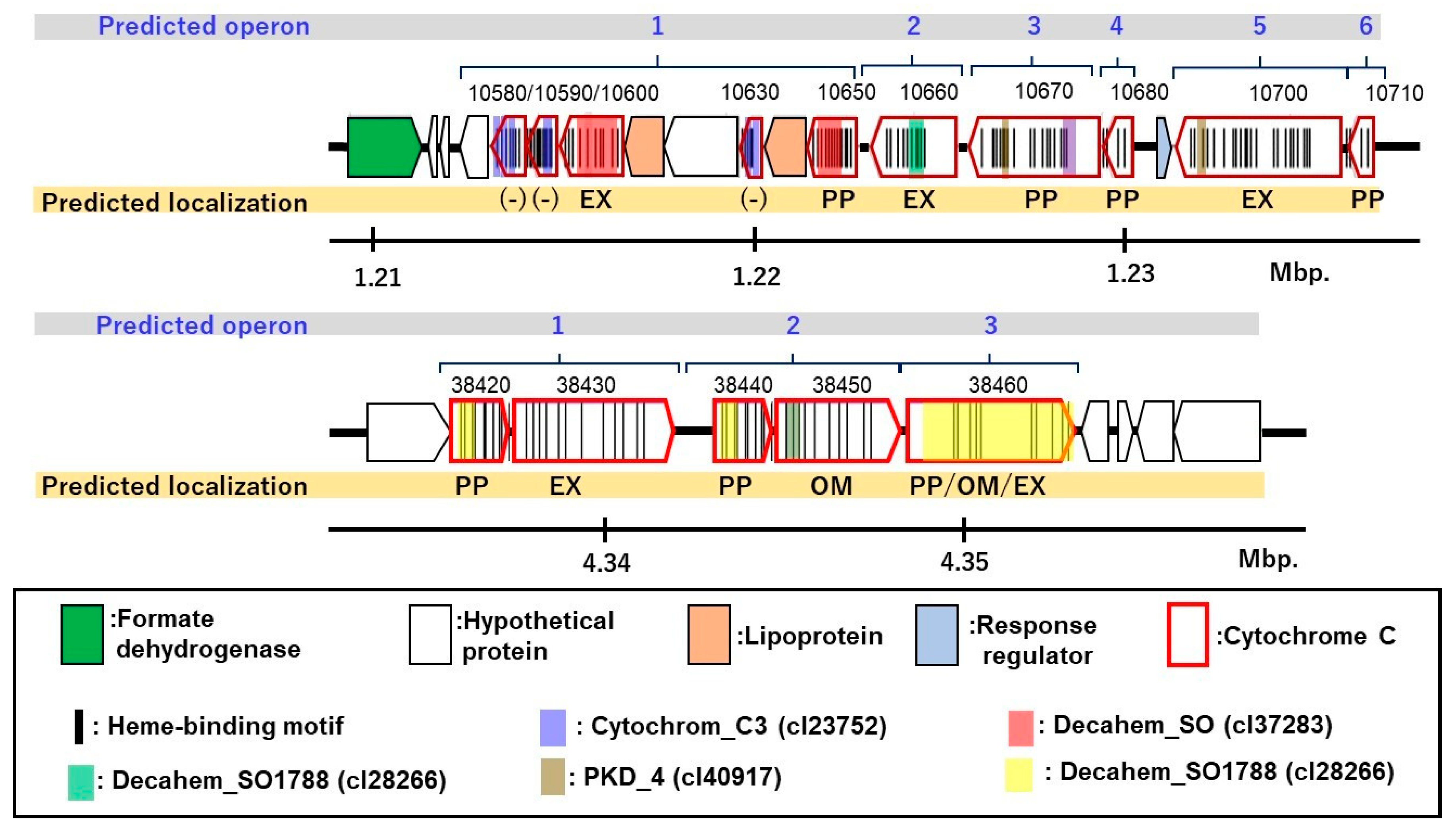 Microorganisms 09 01953 g006