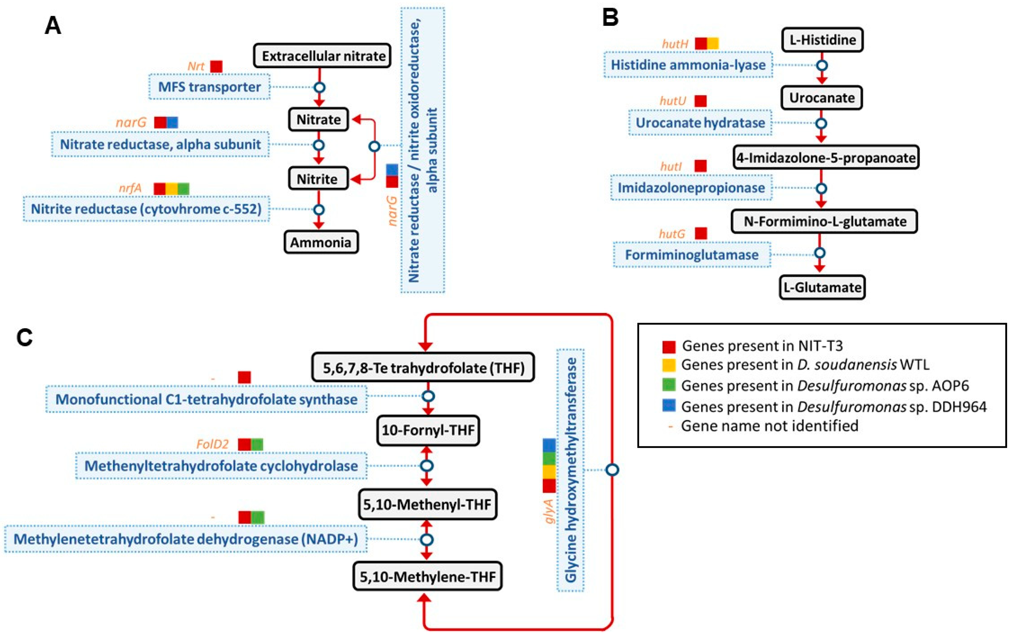 Microorganisms 09 01953 g008