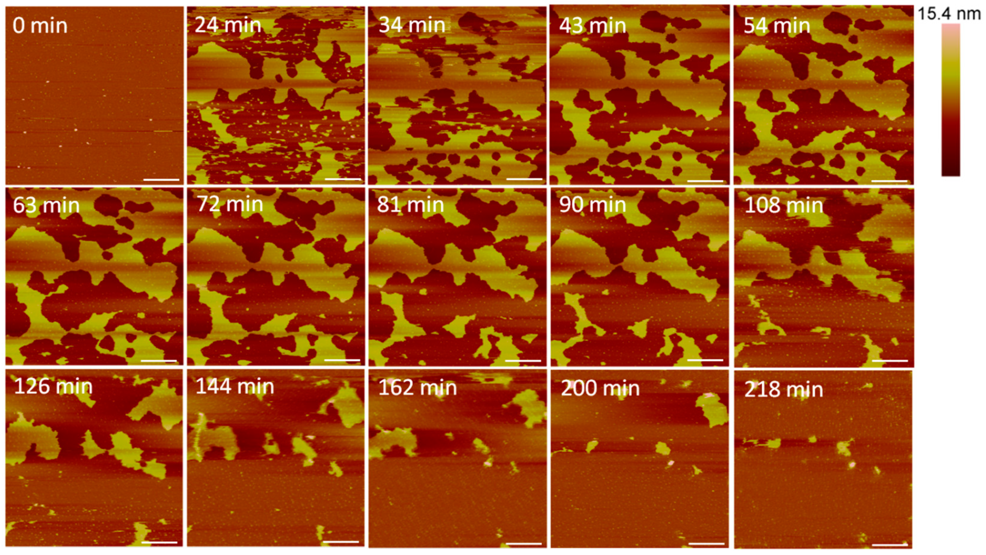 Microorganisms 09 01975 g003 Microorganisms 09 01975 g003