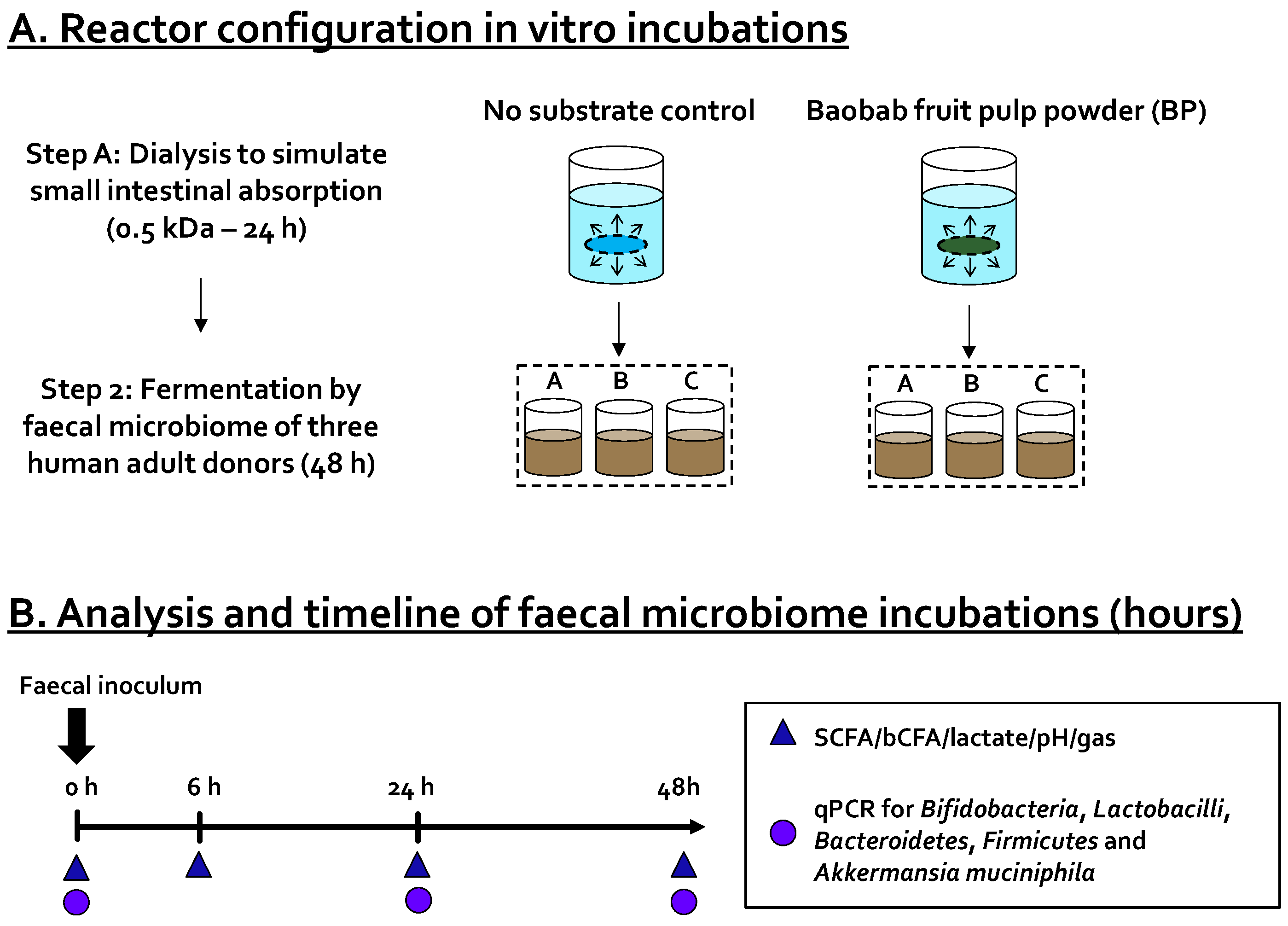 Microorganisms 09 01981 g001