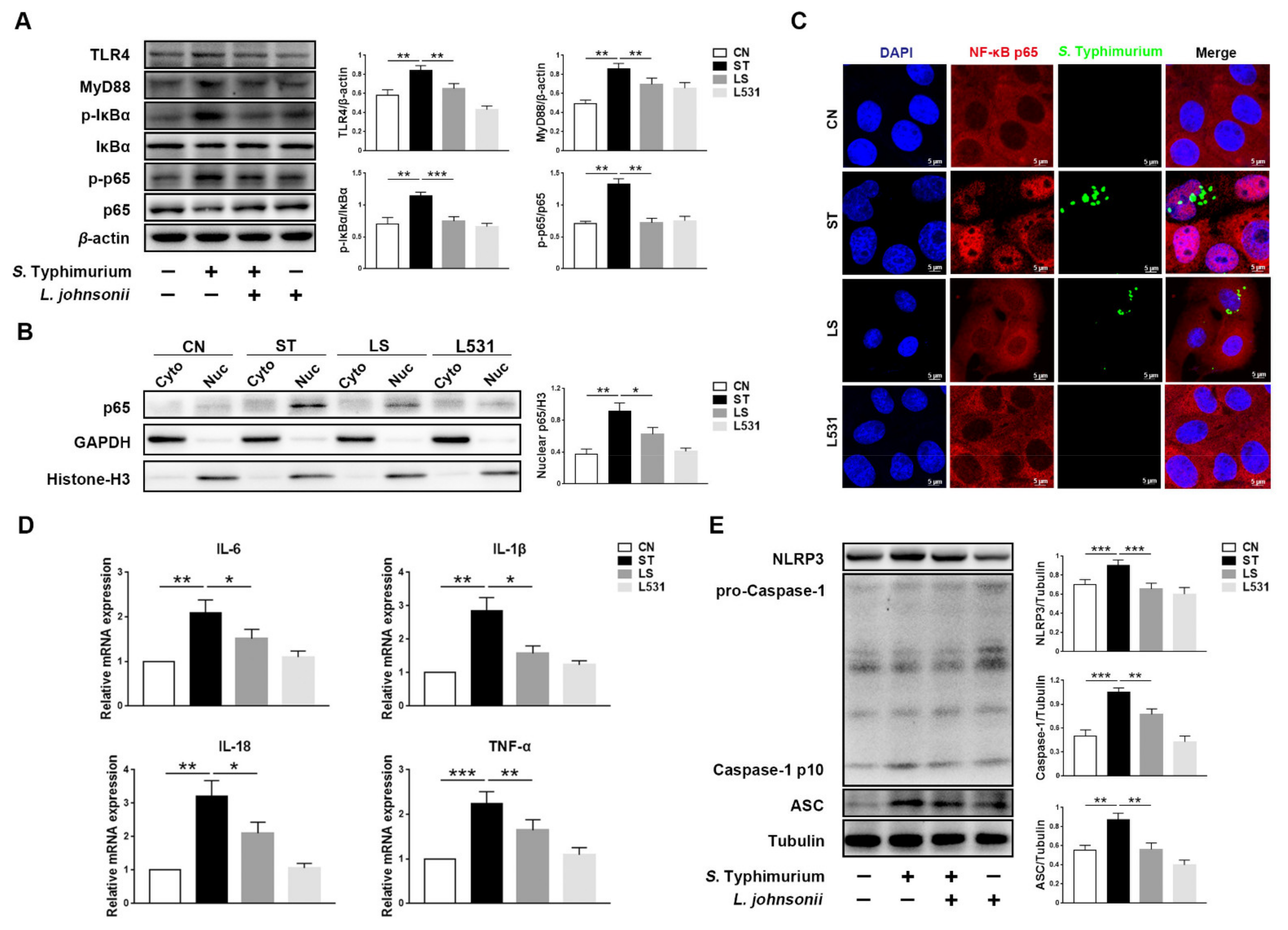 Microorganisms 09 01983 g001