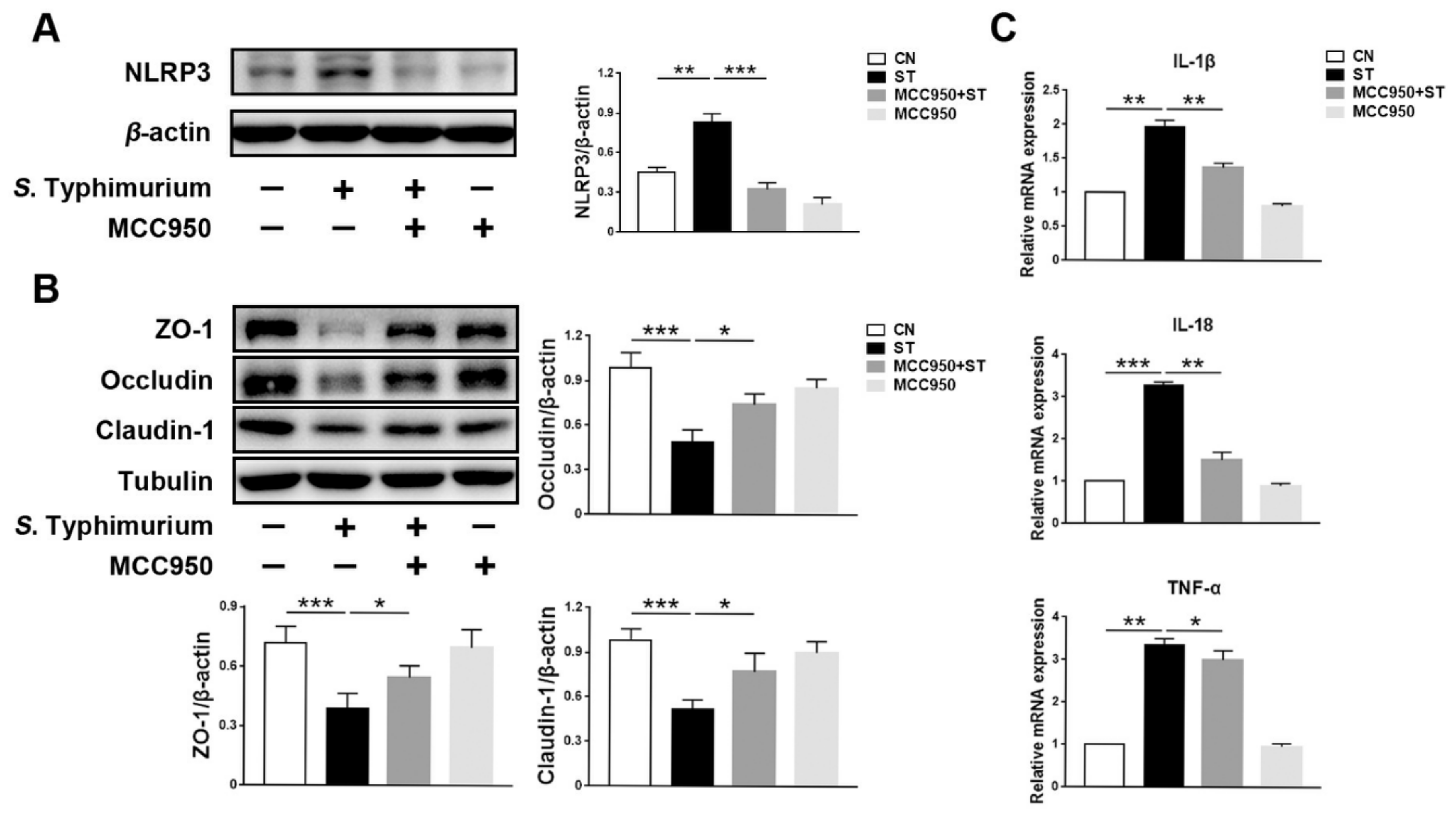Microorganisms 09 01983 g003