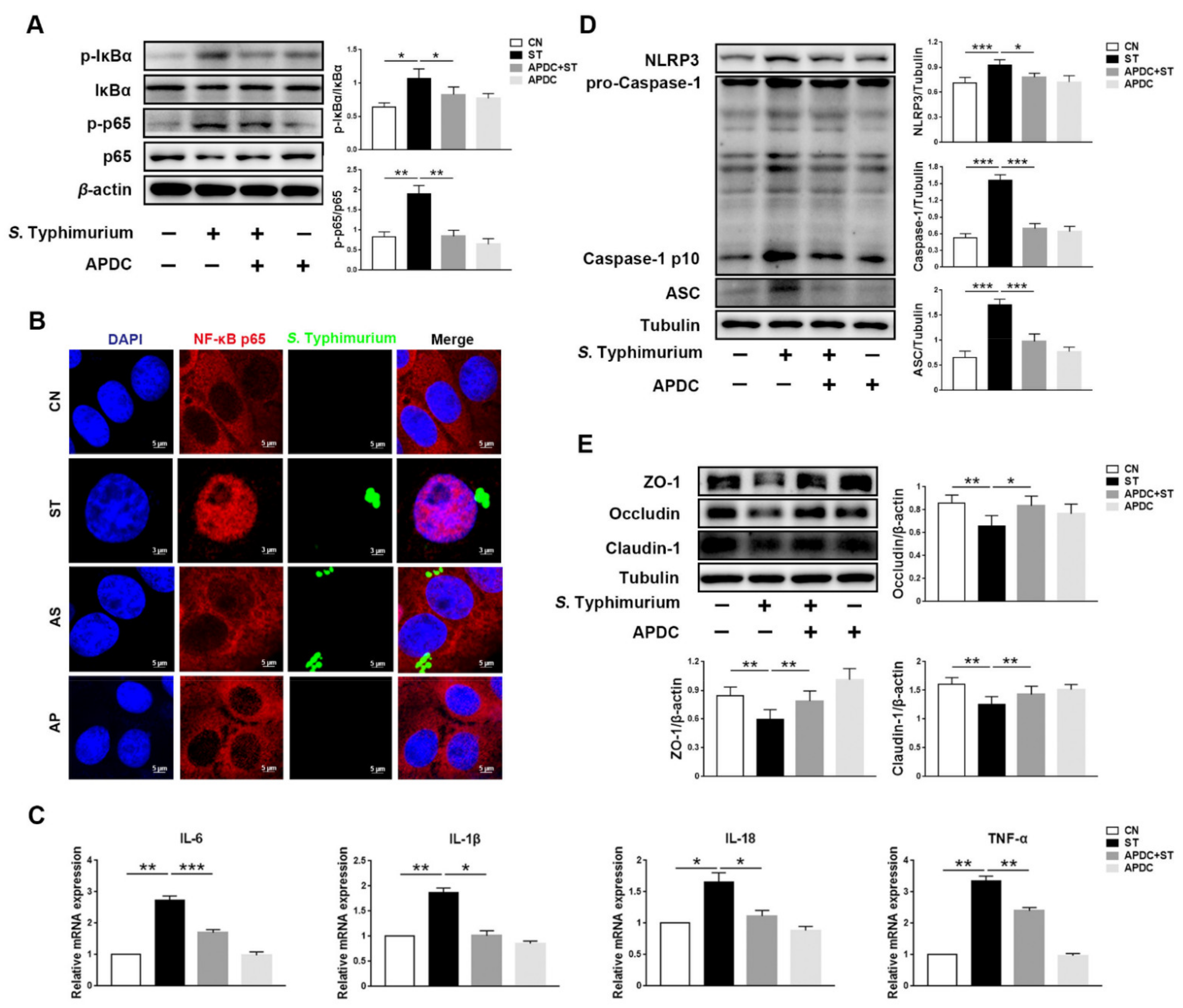 Microorganisms 09 01983 g004