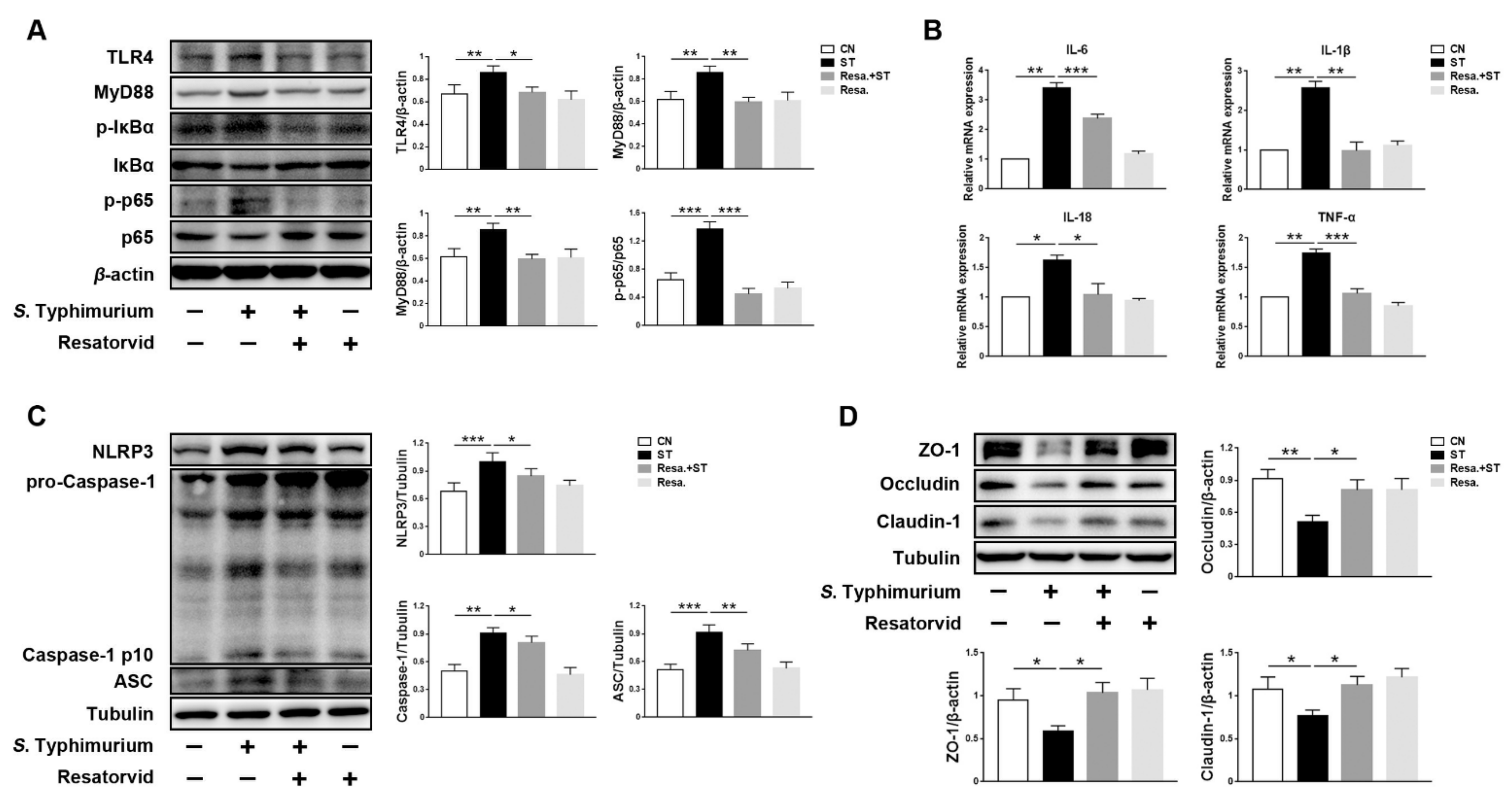 Microorganisms 09 01983 g005