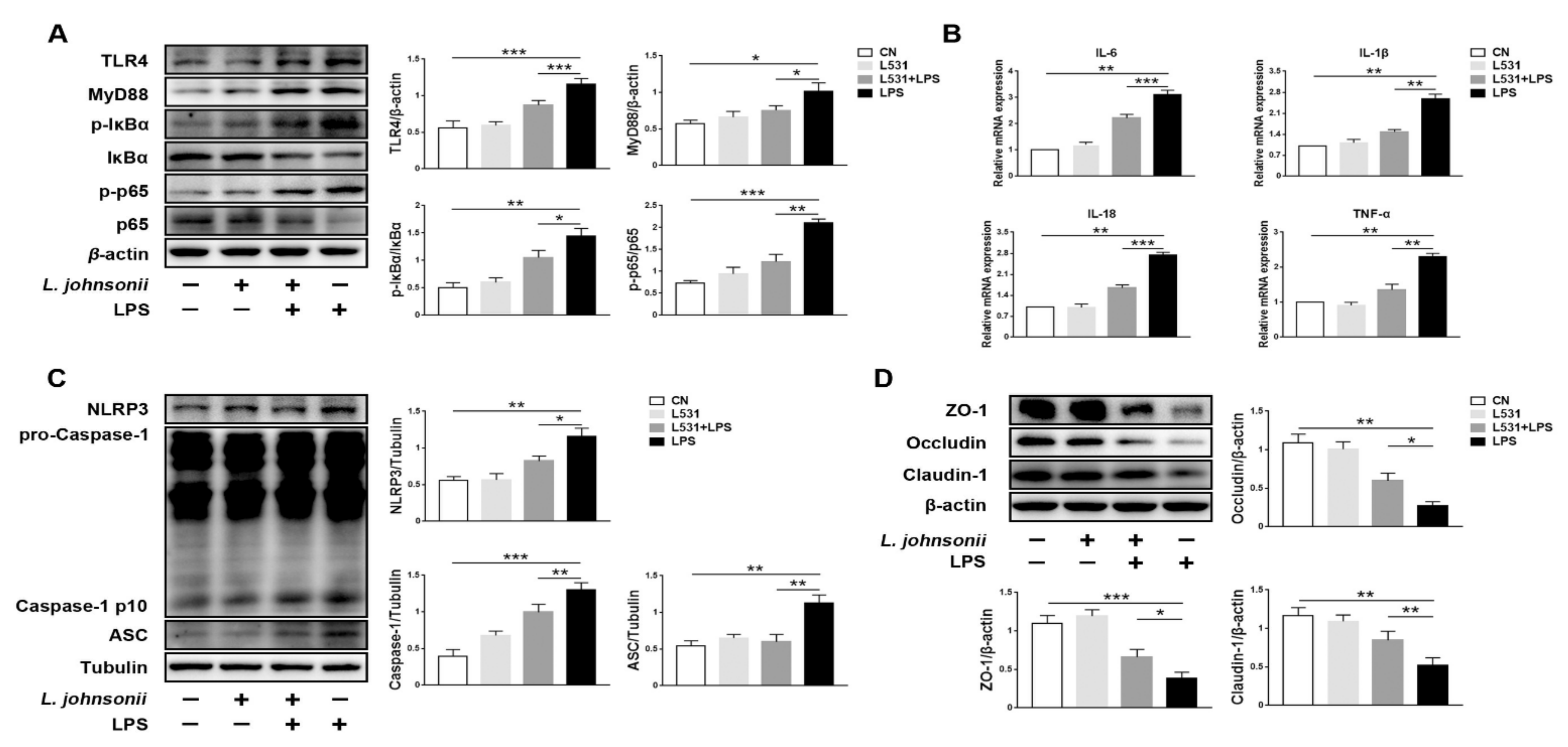Microorganisms 09 01983 g006