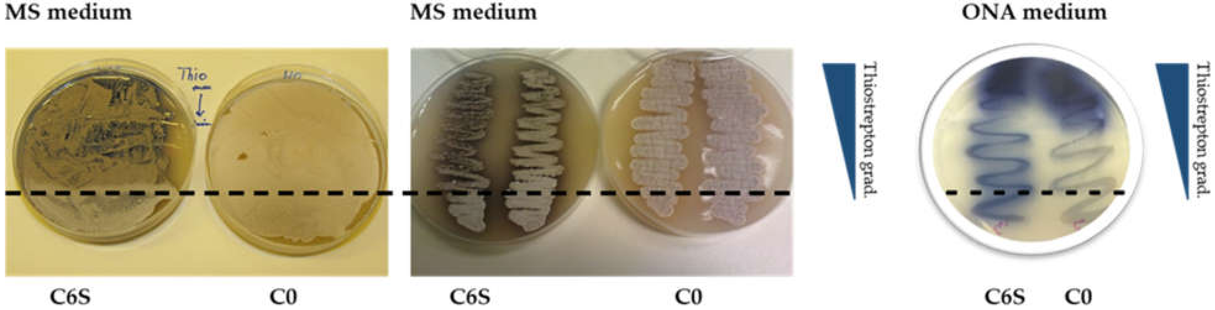 Microorganisms 09 02004 g006