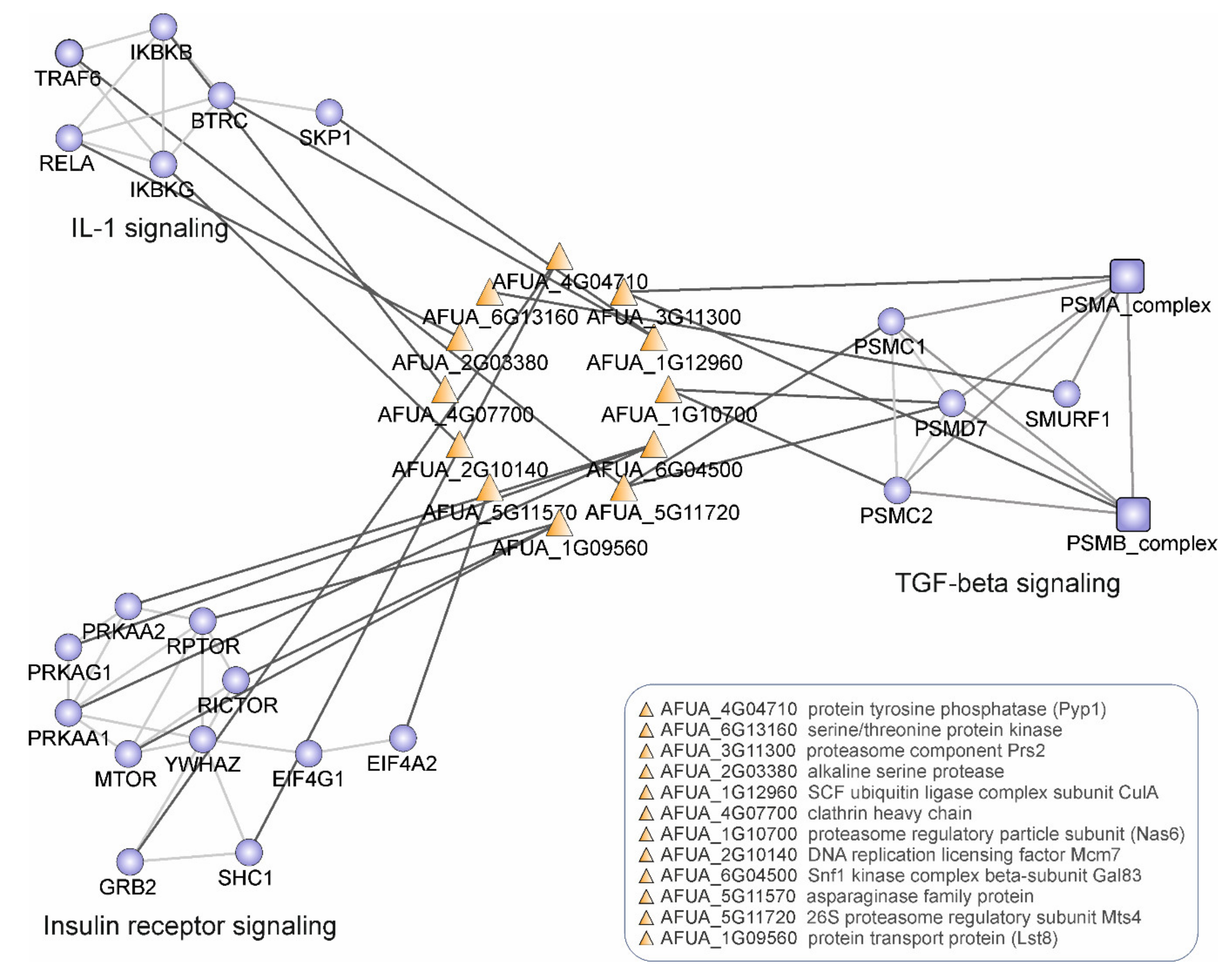 Microorganisms 09 02014 g005