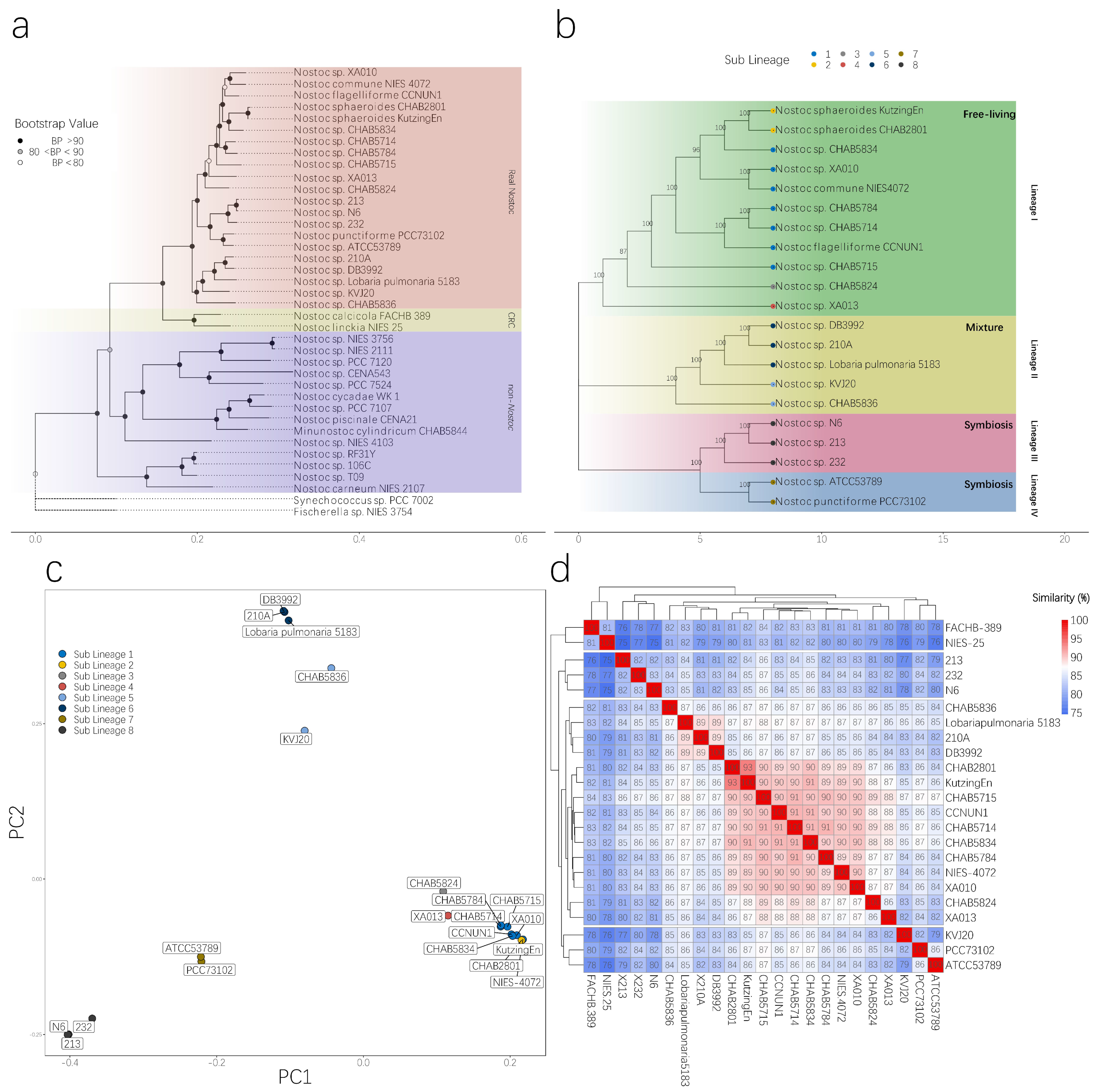 Microorganisms 09 02015 g003