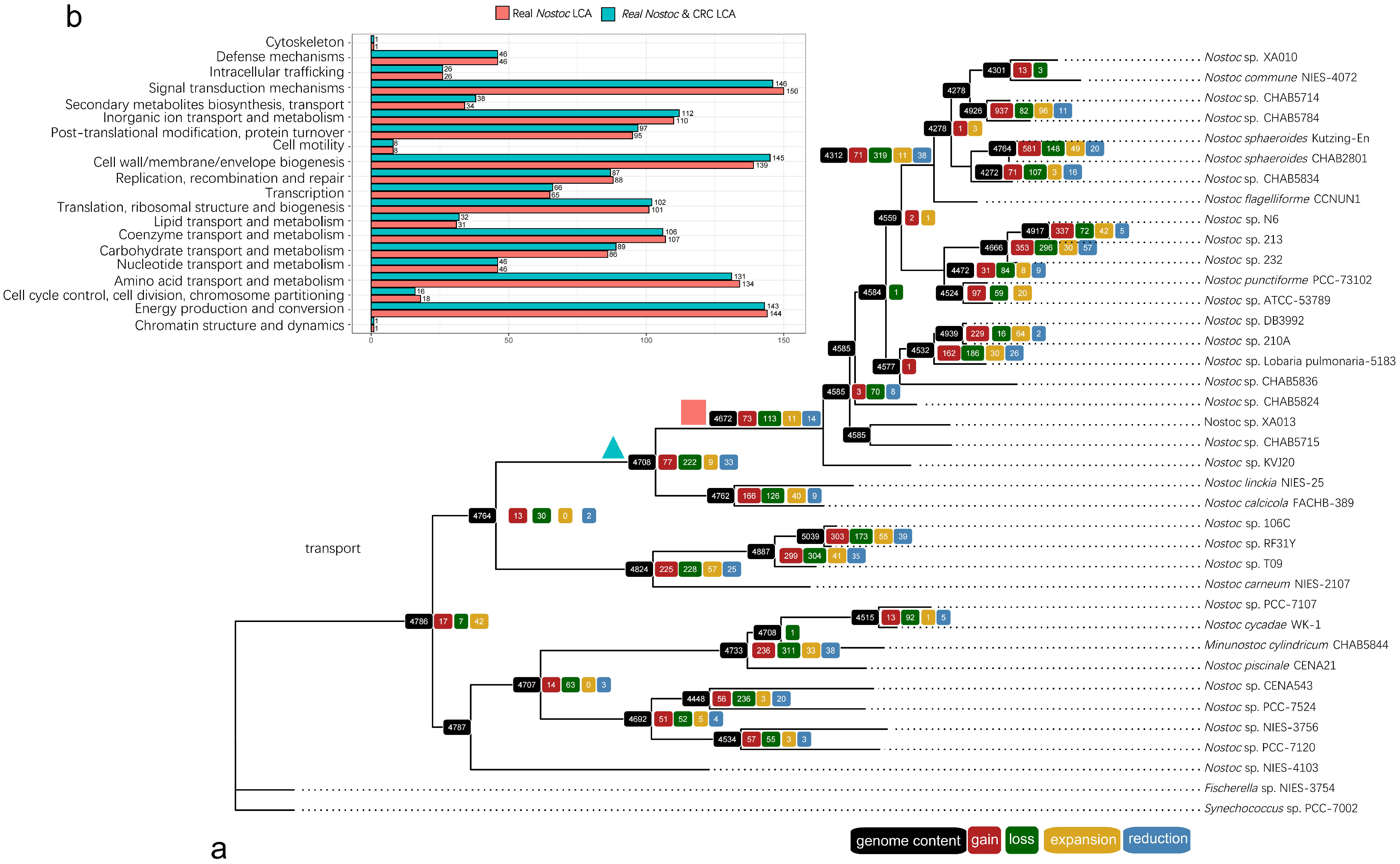 Microorganisms 09 02015 g005