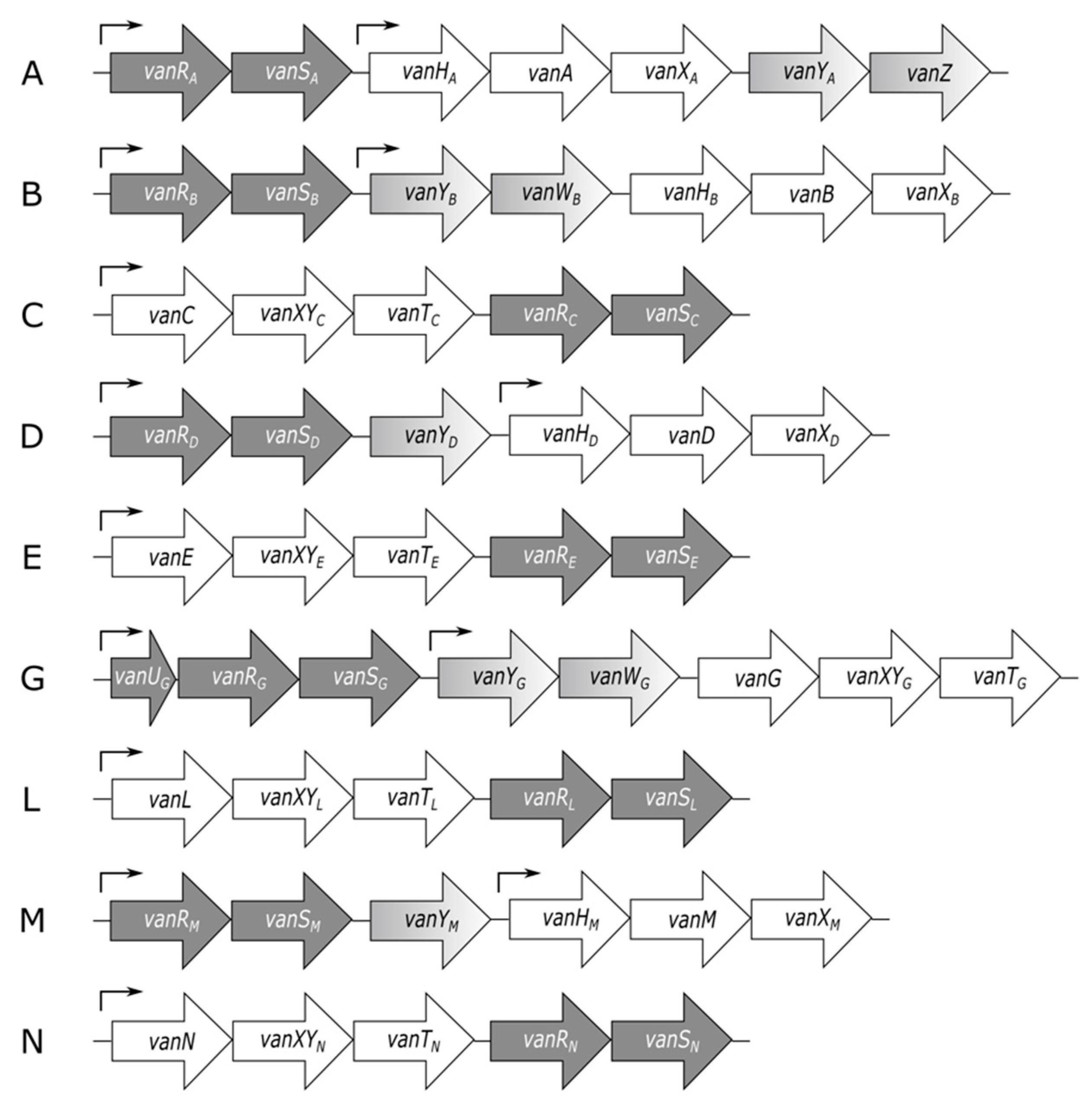 Microorganisms 09 02026 g002